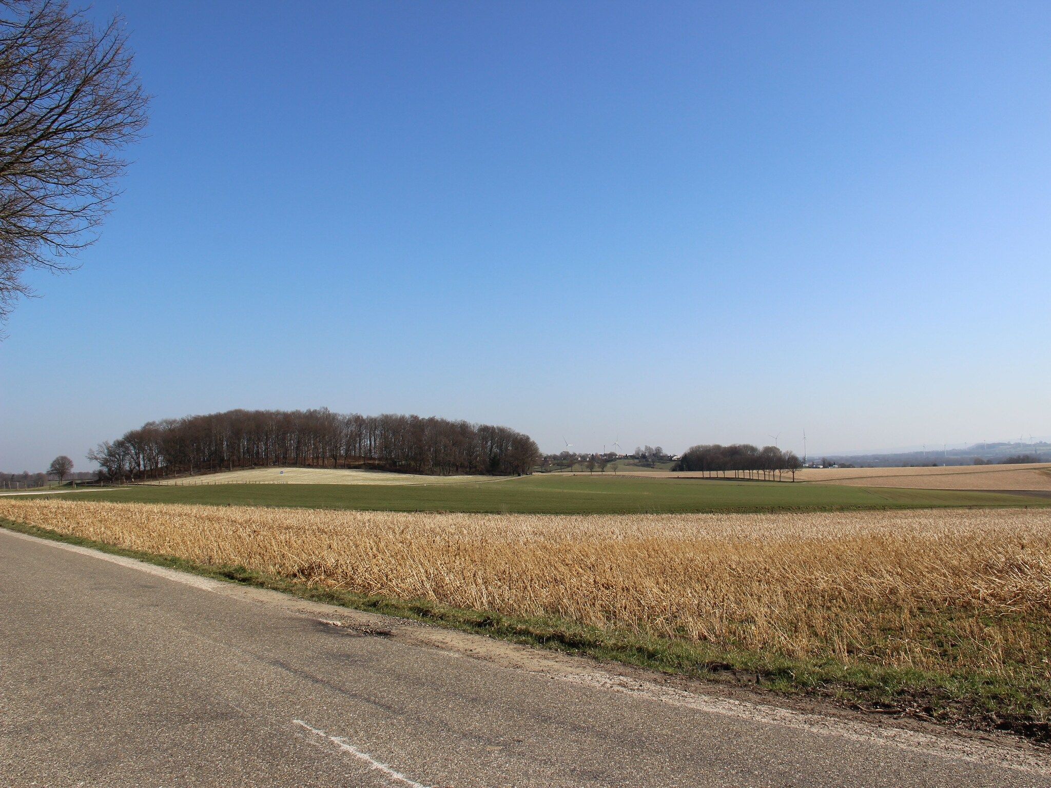 De omgeving van Valleyview Cottages - NR15 in Ubachsberg