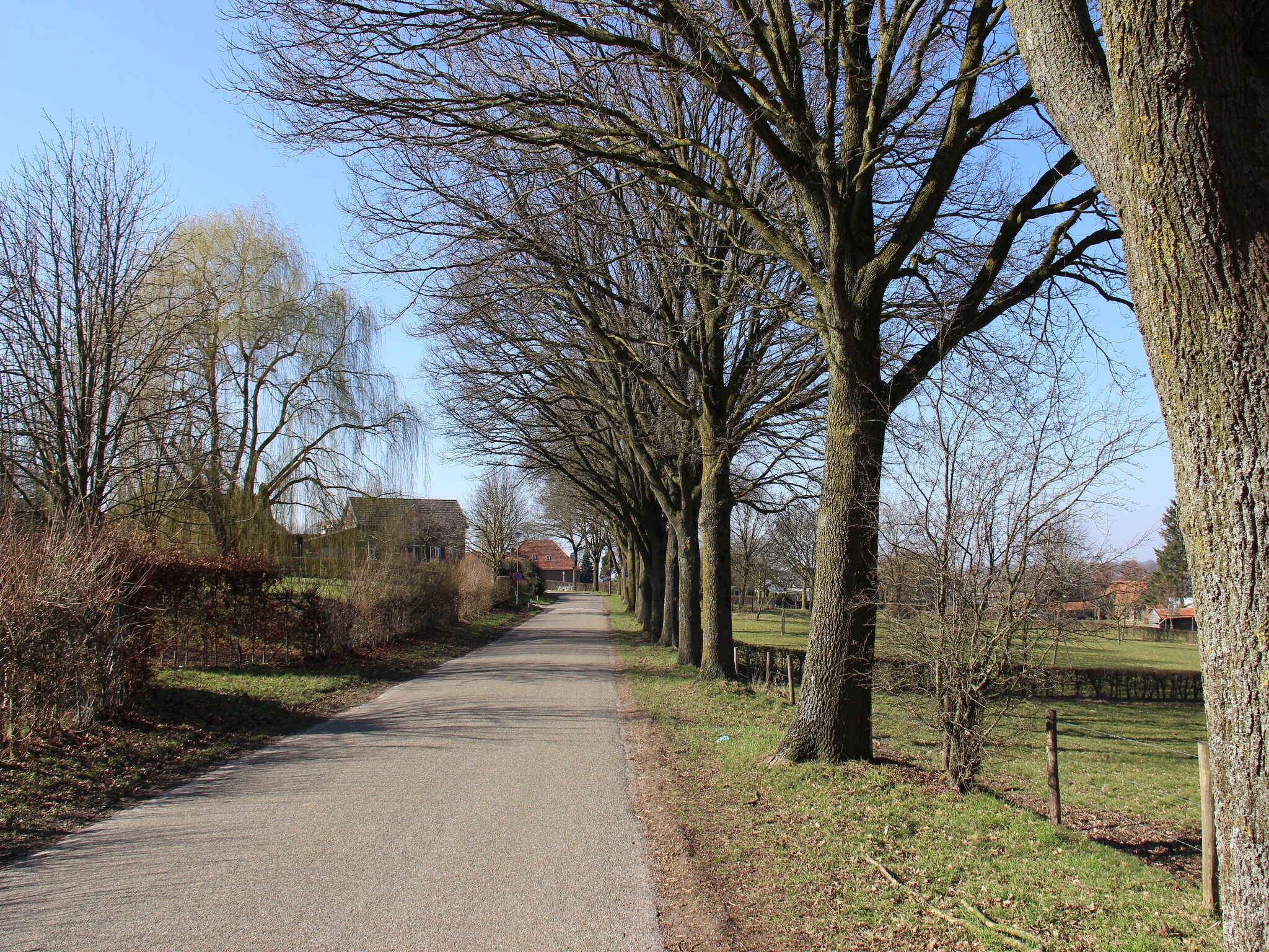 De omgeving van Valleyview Cottages - NR15 in Ubachsberg