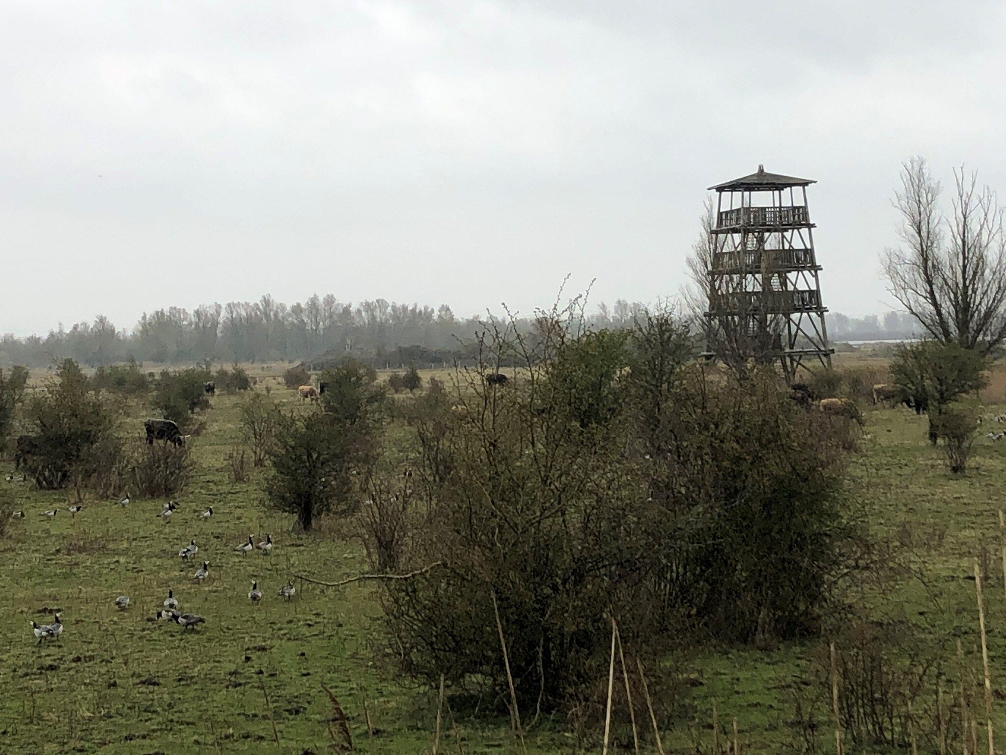 Villa Avondrood in Ooltgensplaat - Foto 34 van 40