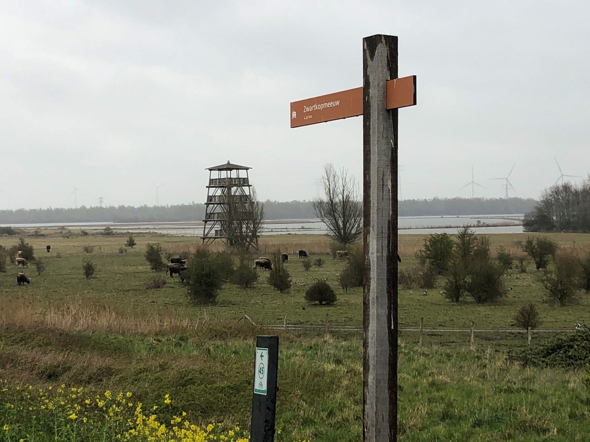 Villa Avondrood in Ooltgensplaat - Foto 35 van 40