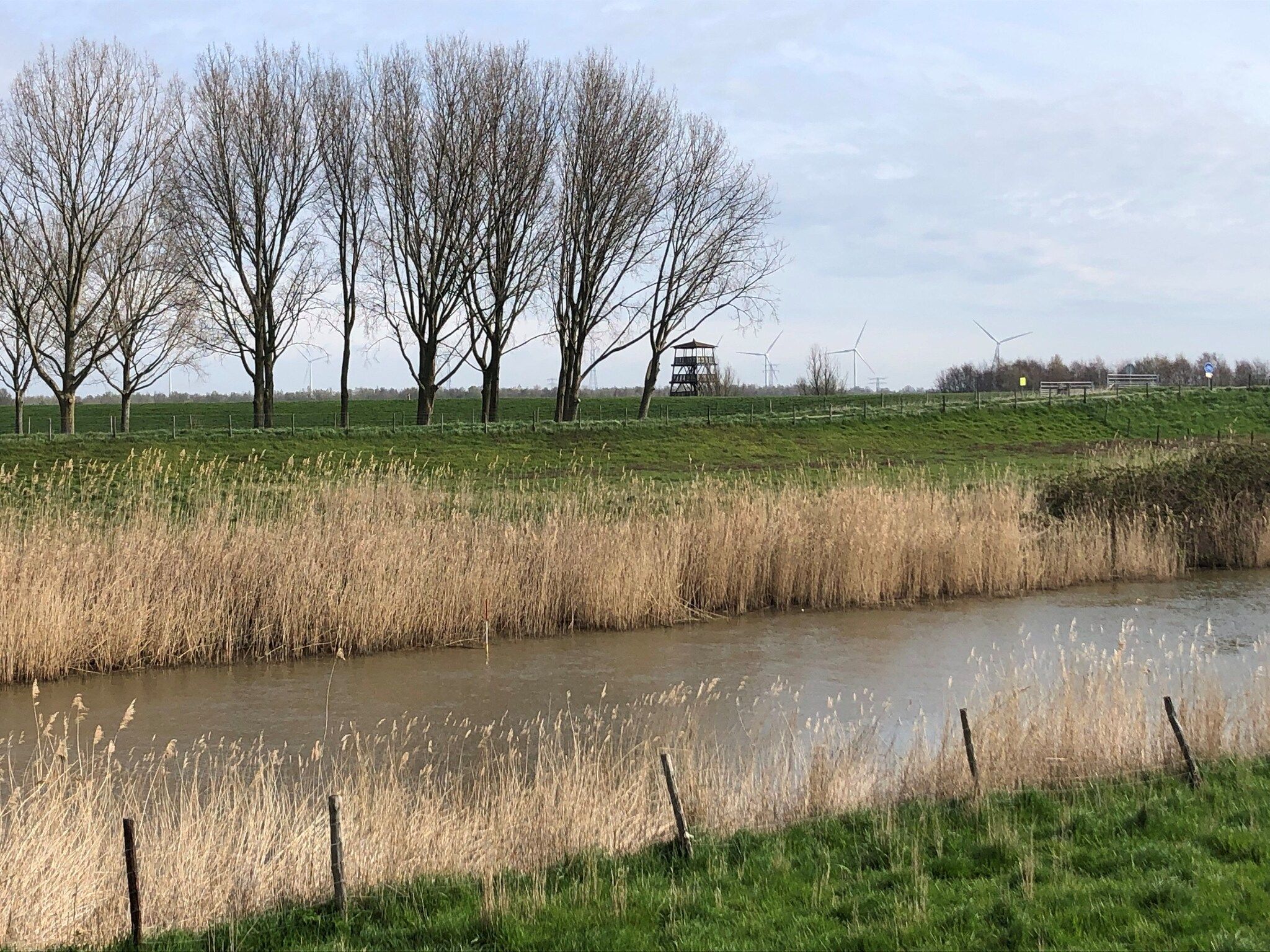De omgeving van Villa Avondrood in Ooltgensplaat