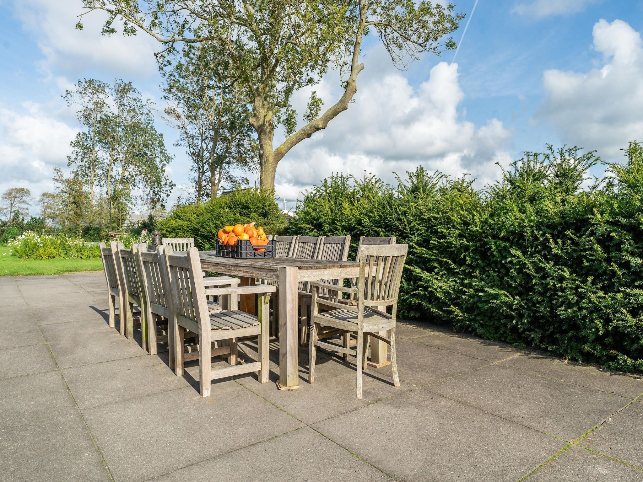 Het terras van De Pauwenhof in Heiloo