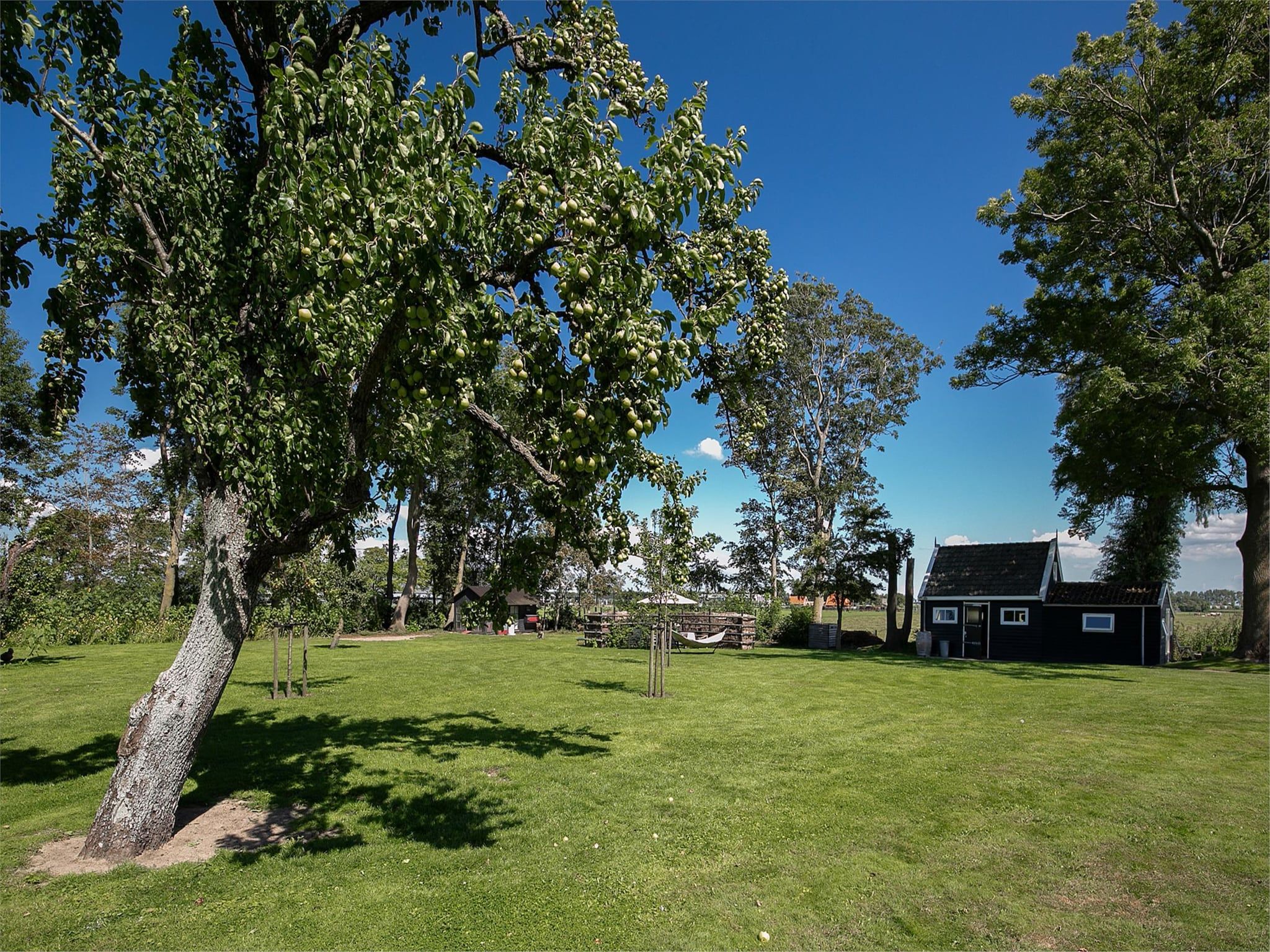 De Pauwenhof in Heiloo - Foto 51 van 58