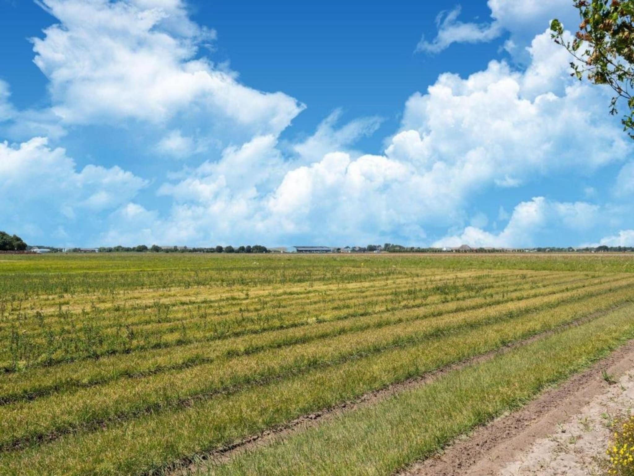 Hazenborgh - Duinhuis 2 in Callantsoog - Foto 37 van 40