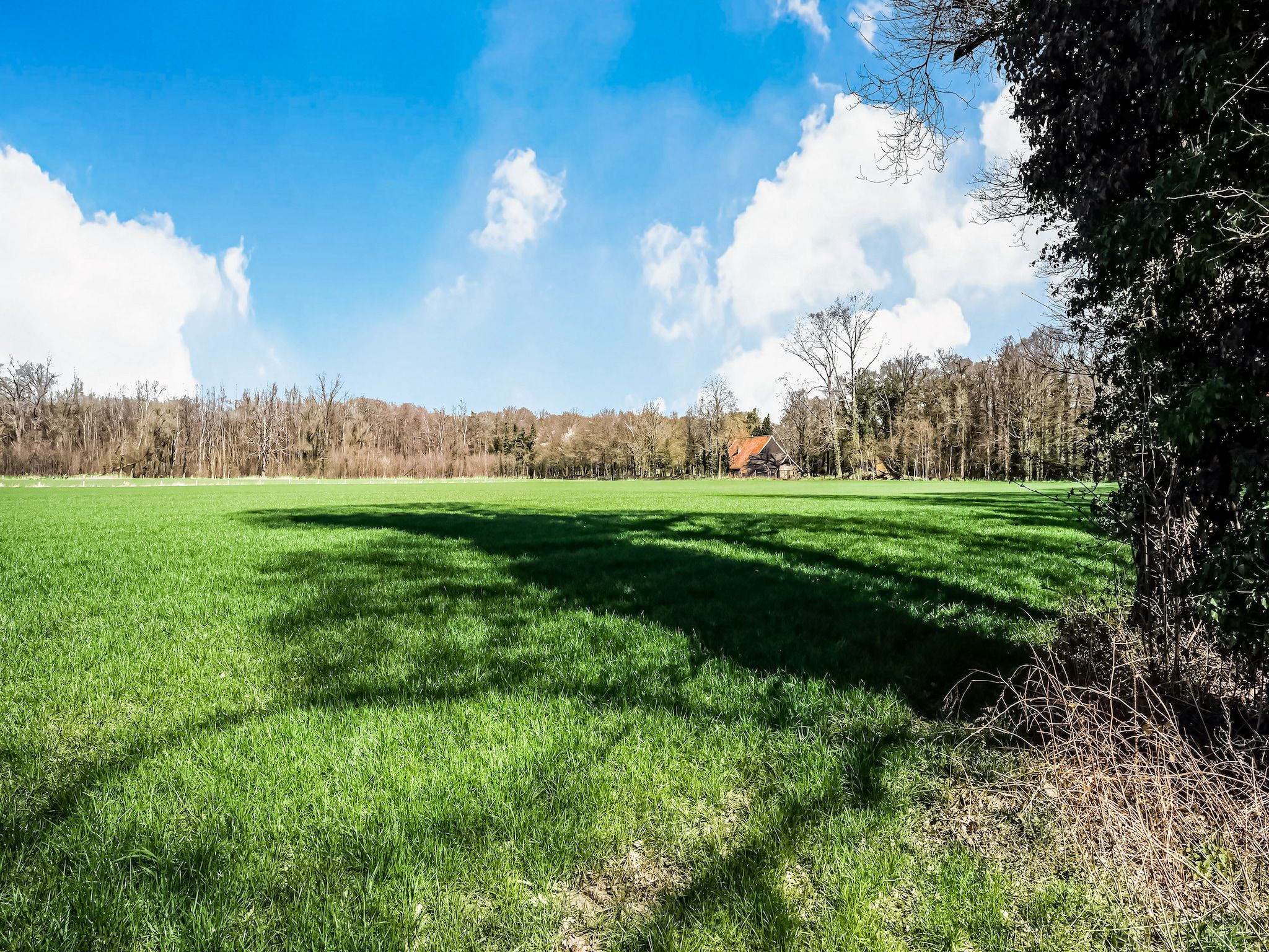 't Huuske Truuske in Reutum - Foto 36 van 40