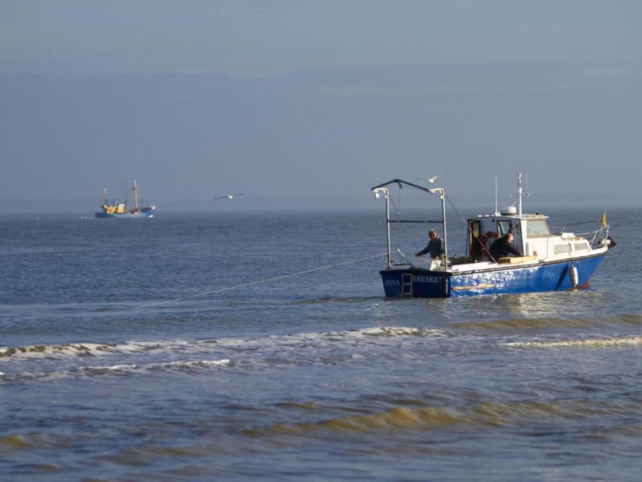 Beach Resort Nieuwvliet-Bad 14 in Nieuwvliet-Bad - Foto 31 van 40