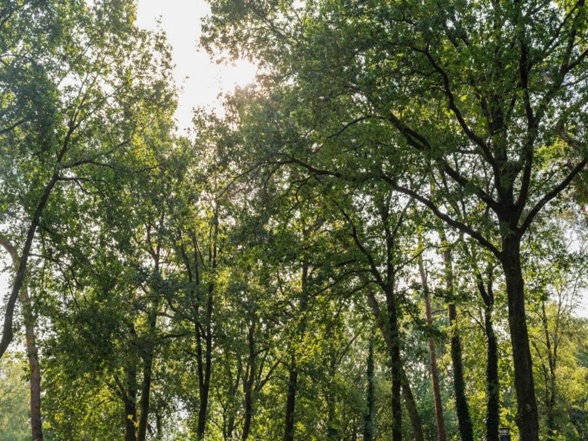 De omgeving van Vakantiepark De Rimboe & De Woeste Hoogte 13 in Hoenderloo