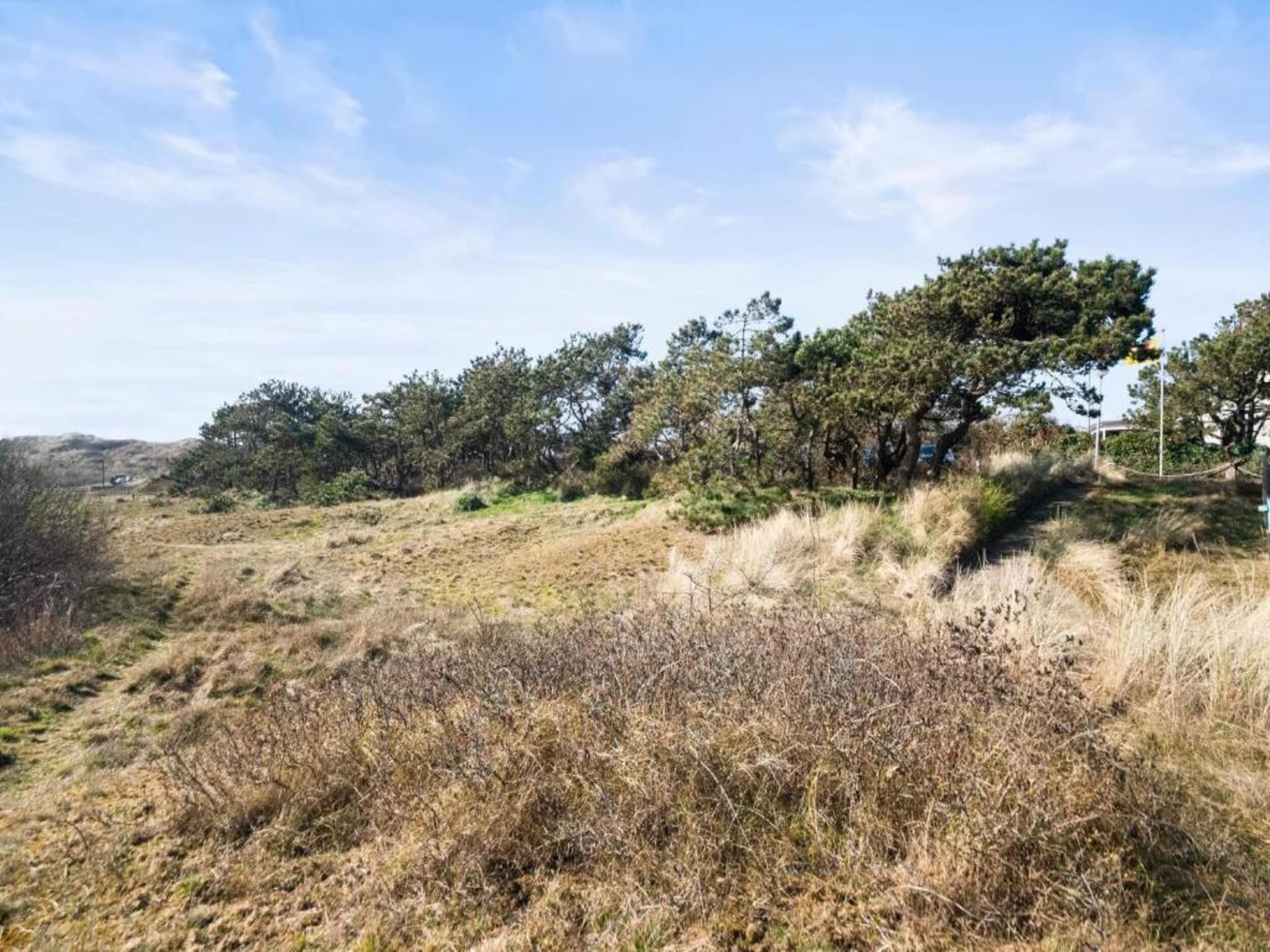 Vakantiepark Callassande 4 in Callantsoog - Foto 35 van 41