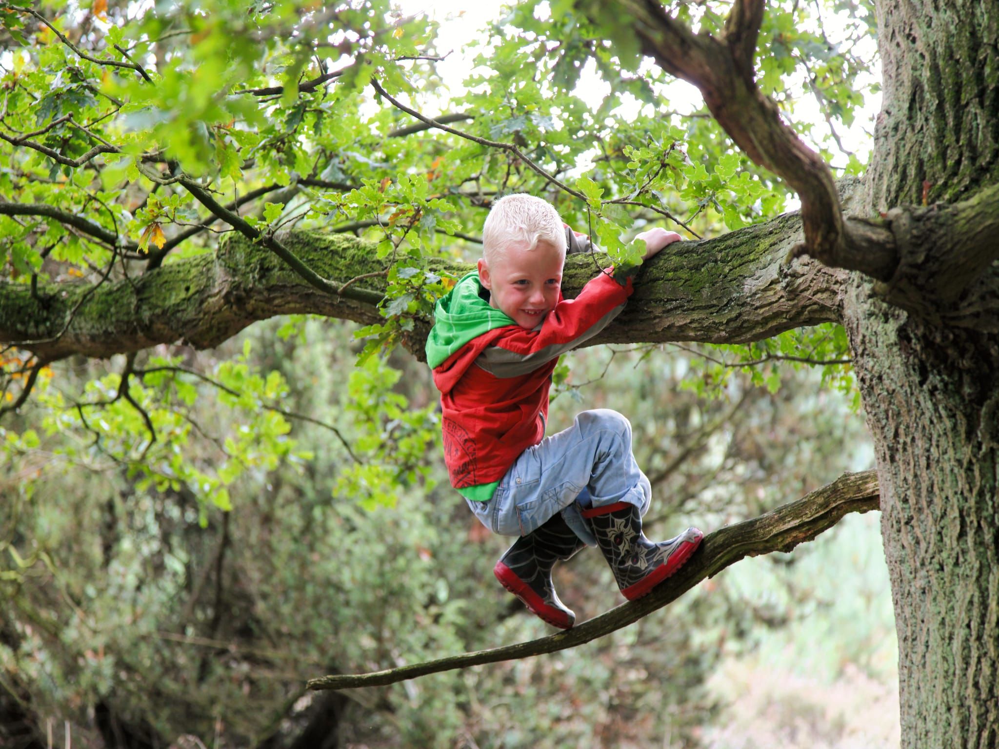 Sfeerbeeld van Recreatiepark Tolplas 17 in Hoge Hexel
