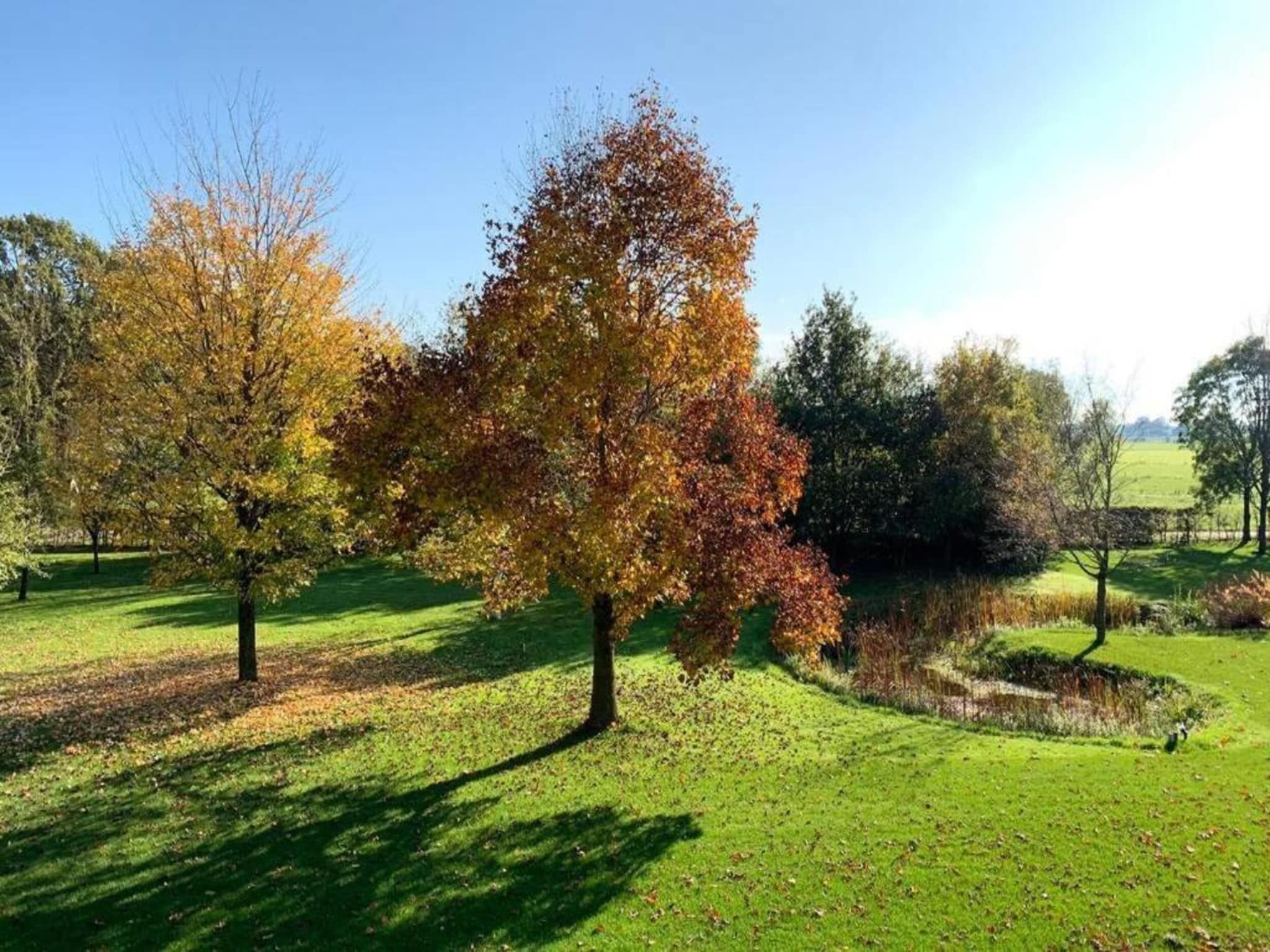 De omgeving van Recreatiepark Tolplas 17 in Hoge Hexel