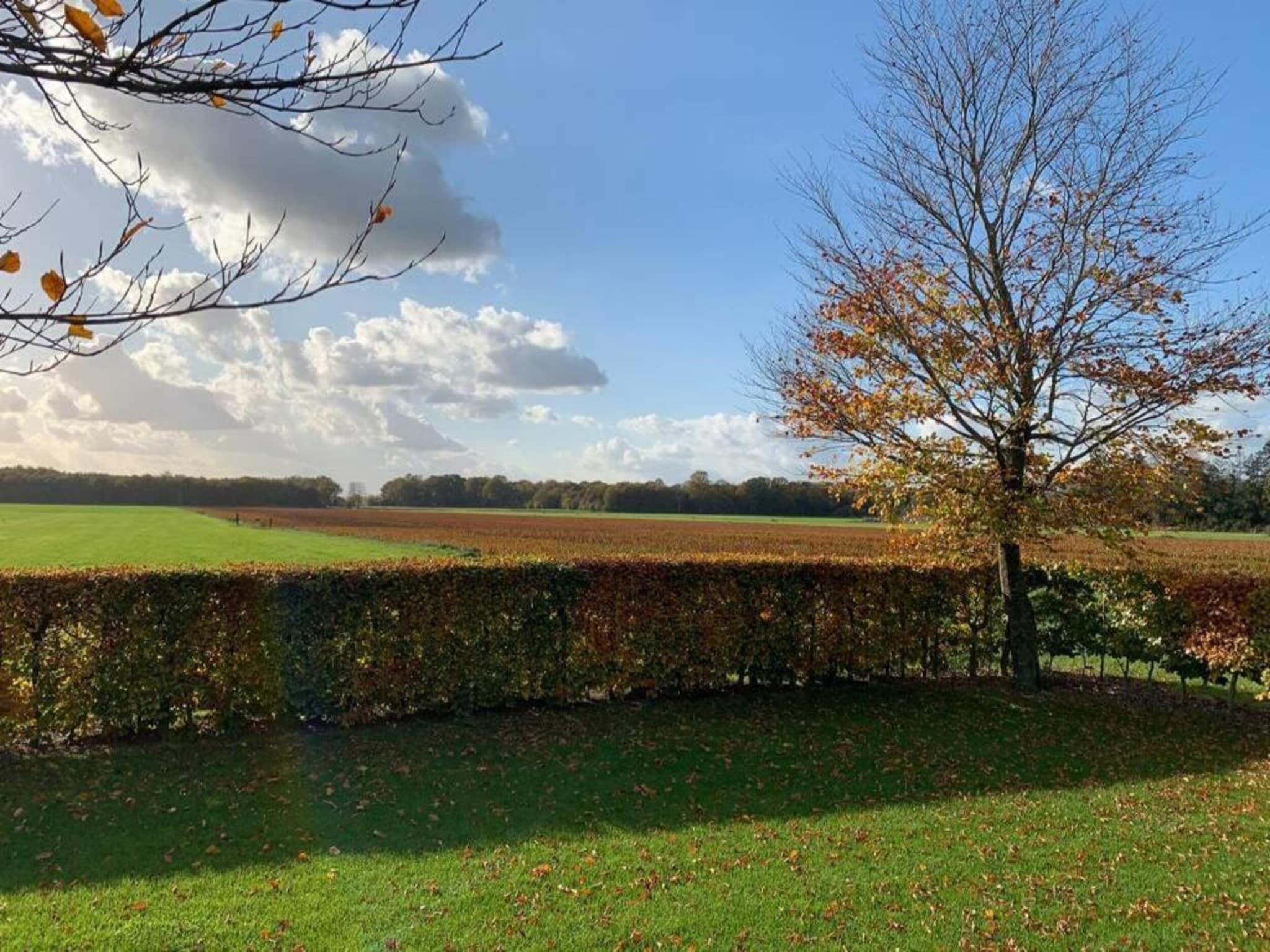 De omgeving van Recreatiepark Tolplas 17 in Hoge Hexel