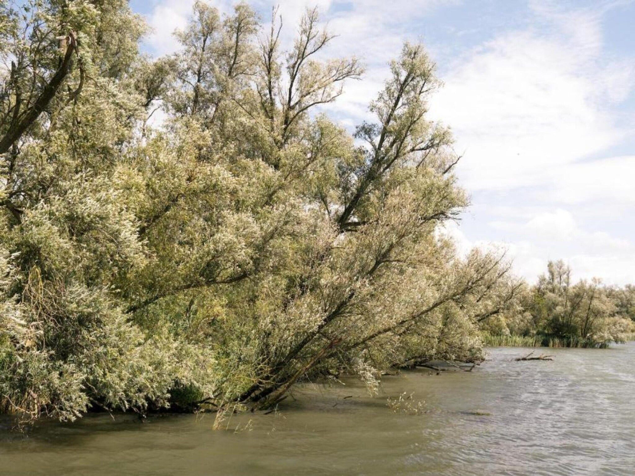 De omgeving van Vakantiepark de Katjeskelder 19 in Oosterhout