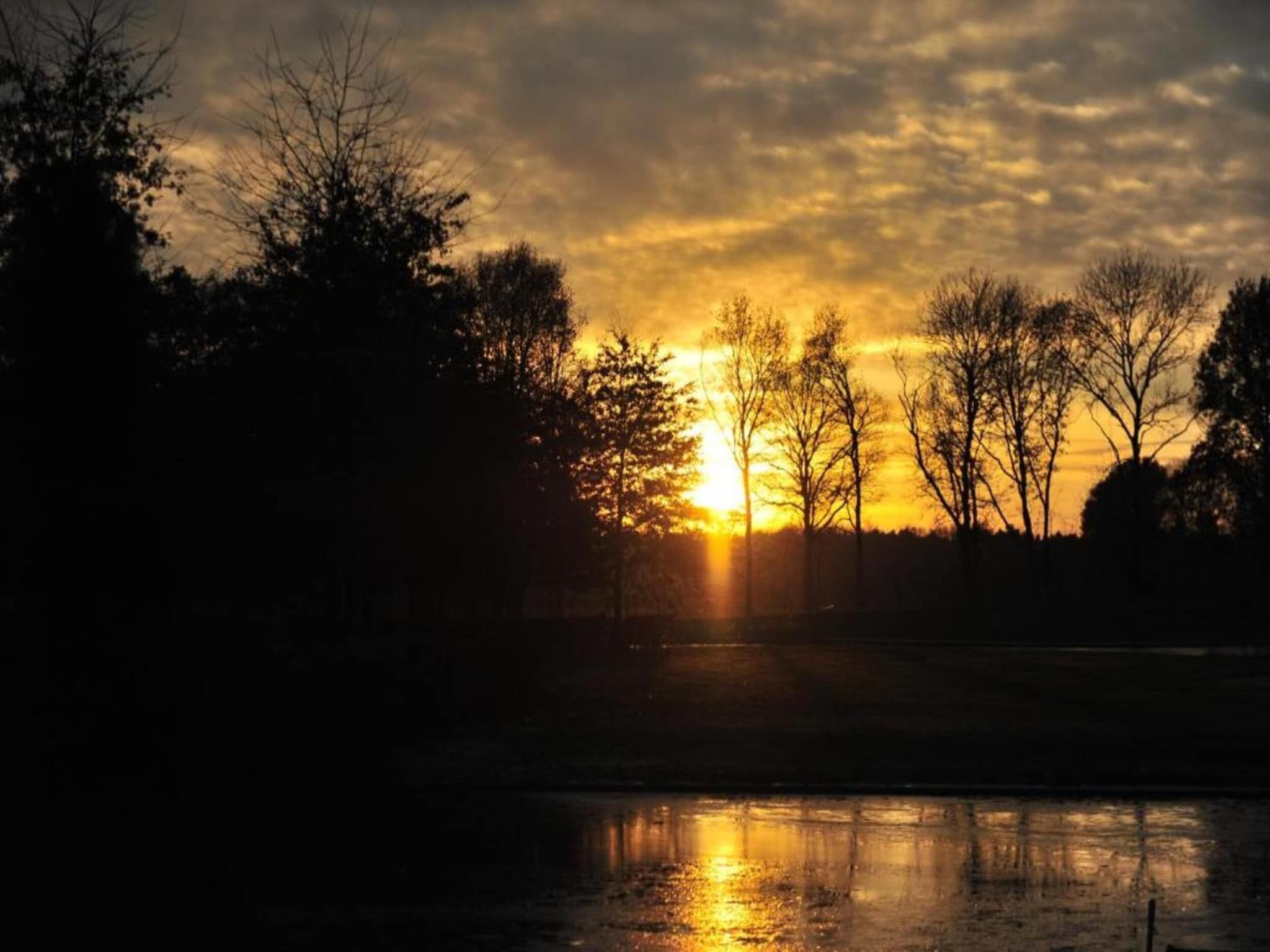 Vakantiepark Klein Vink 20 in Arcen - Foto 21 van 40