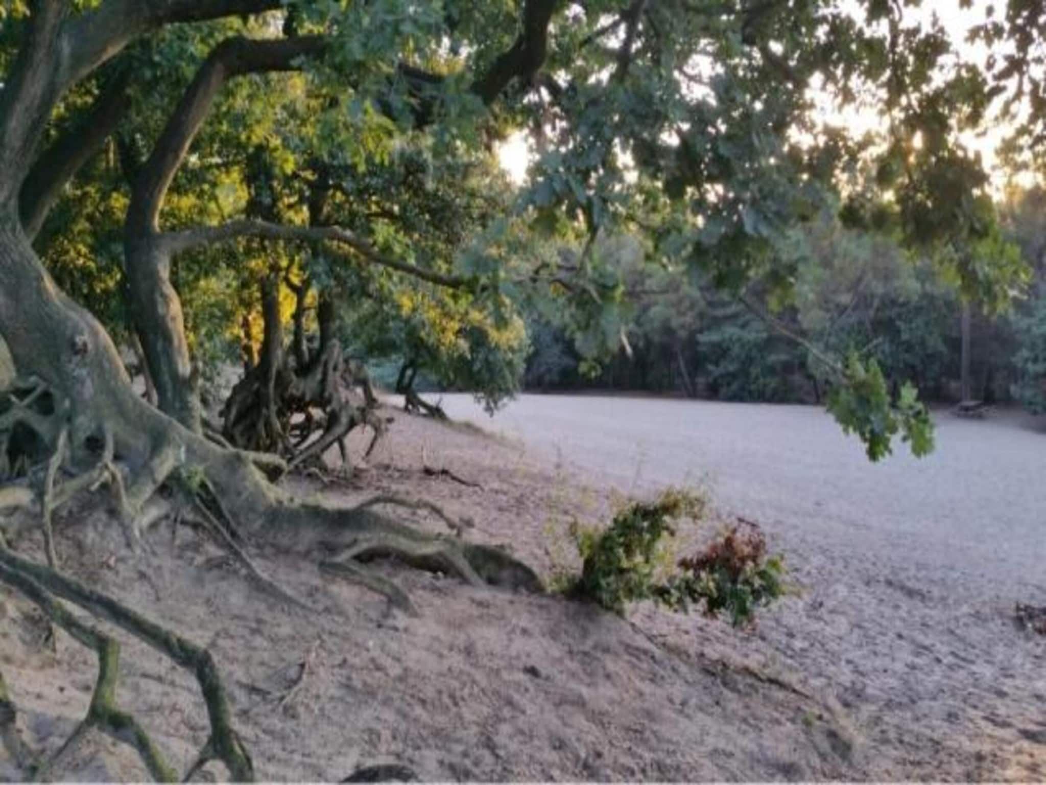 Vakantiepark Sandberghe 12 in Uden - Foto 37 van 40