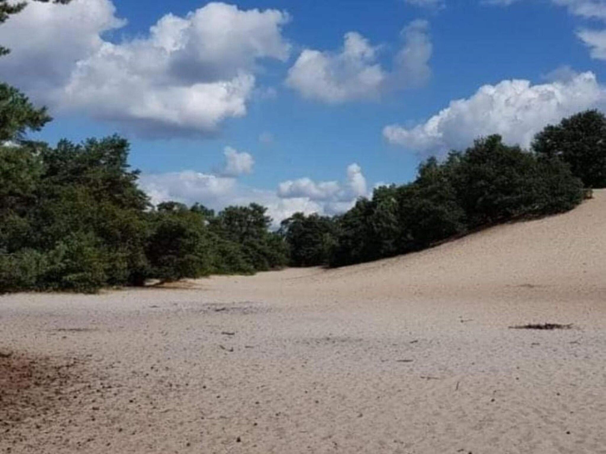 Vakantiepark Sandberghe 12 in Uden - Foto 30 van 40