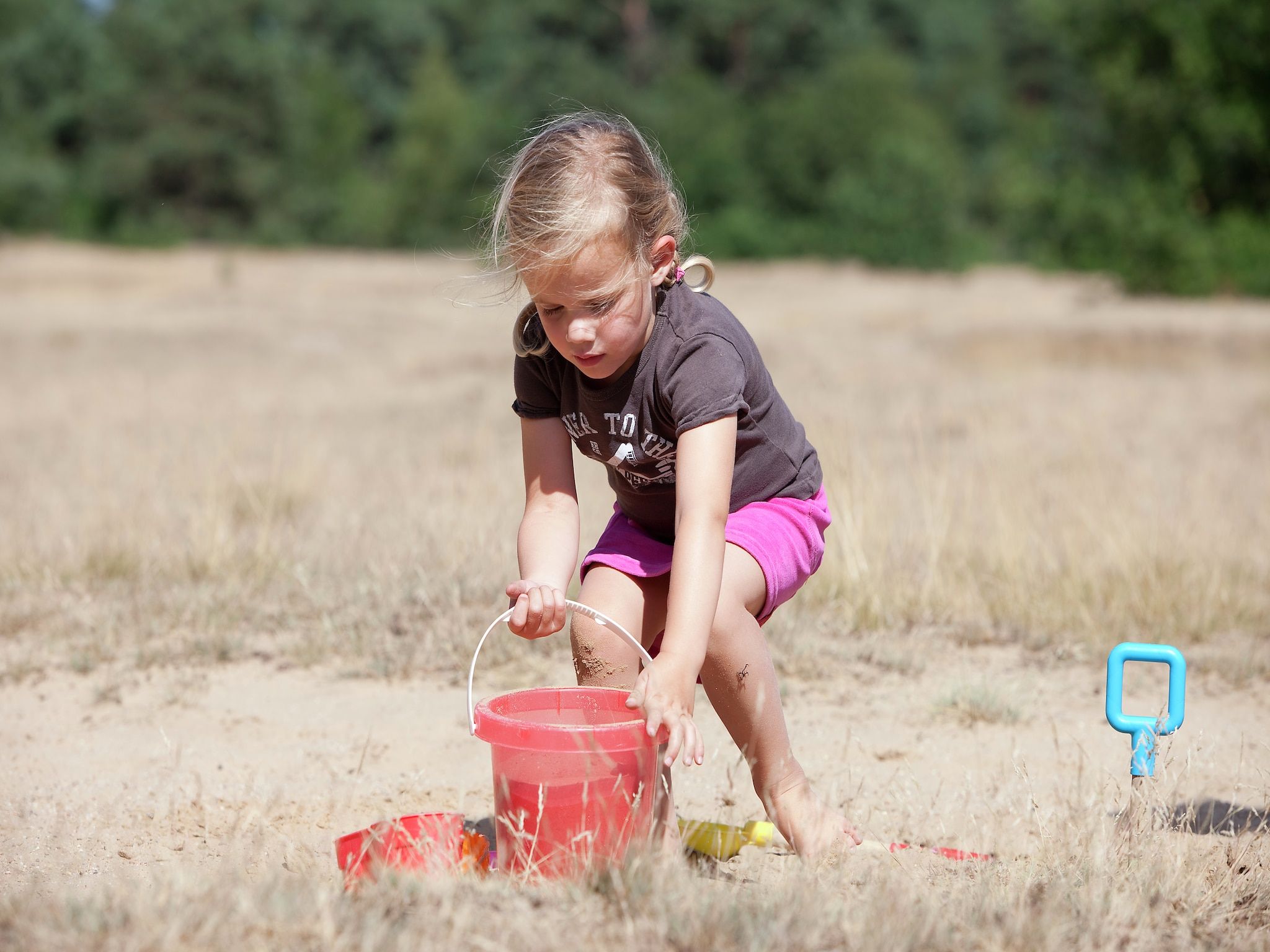 Parkfaciliteiten bij Vakantiepark de Berkenhorst 10 in Kootwijk
