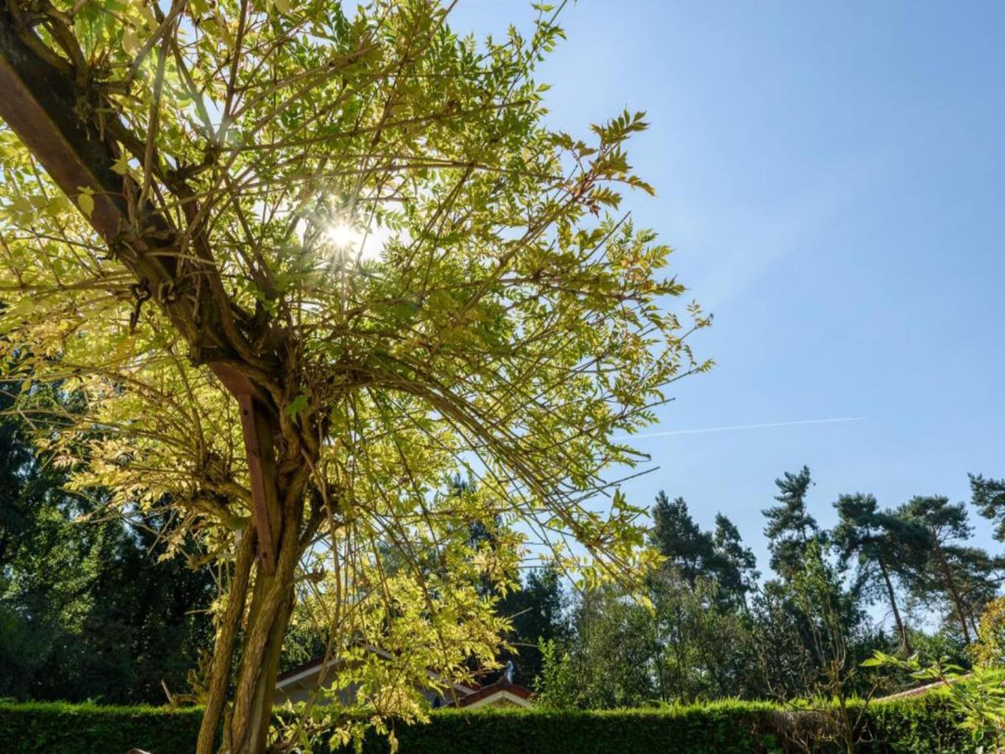 De omgeving van De Veluwse Hoevegaerde 1 in Putten