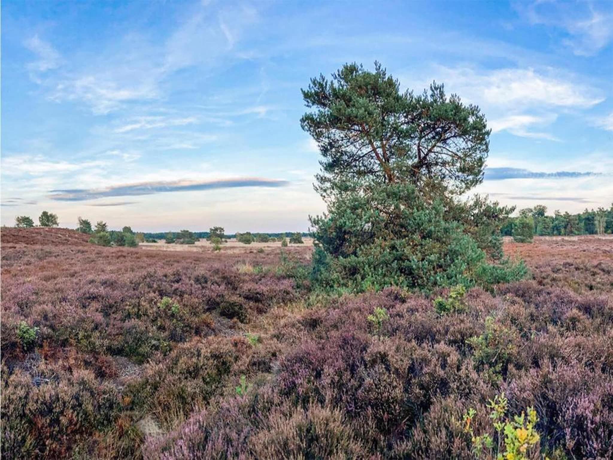 De omgeving van De Veluwse Hoevegaerde 2 in Putten