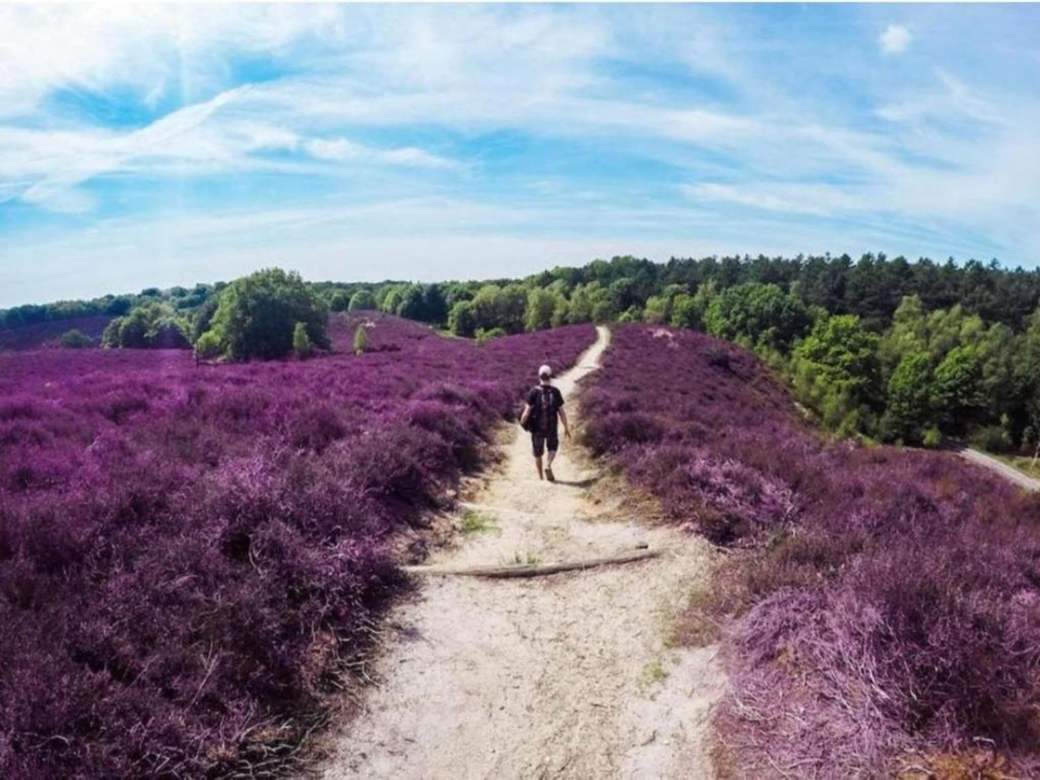 De omgeving van De Veluwse Hoevegaerde 2 in Putten
