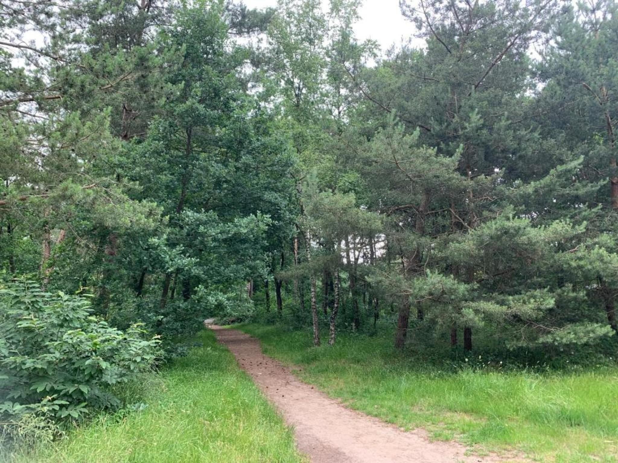 De omgeving van De Veluwse Hoevegaerde 3 in Putten