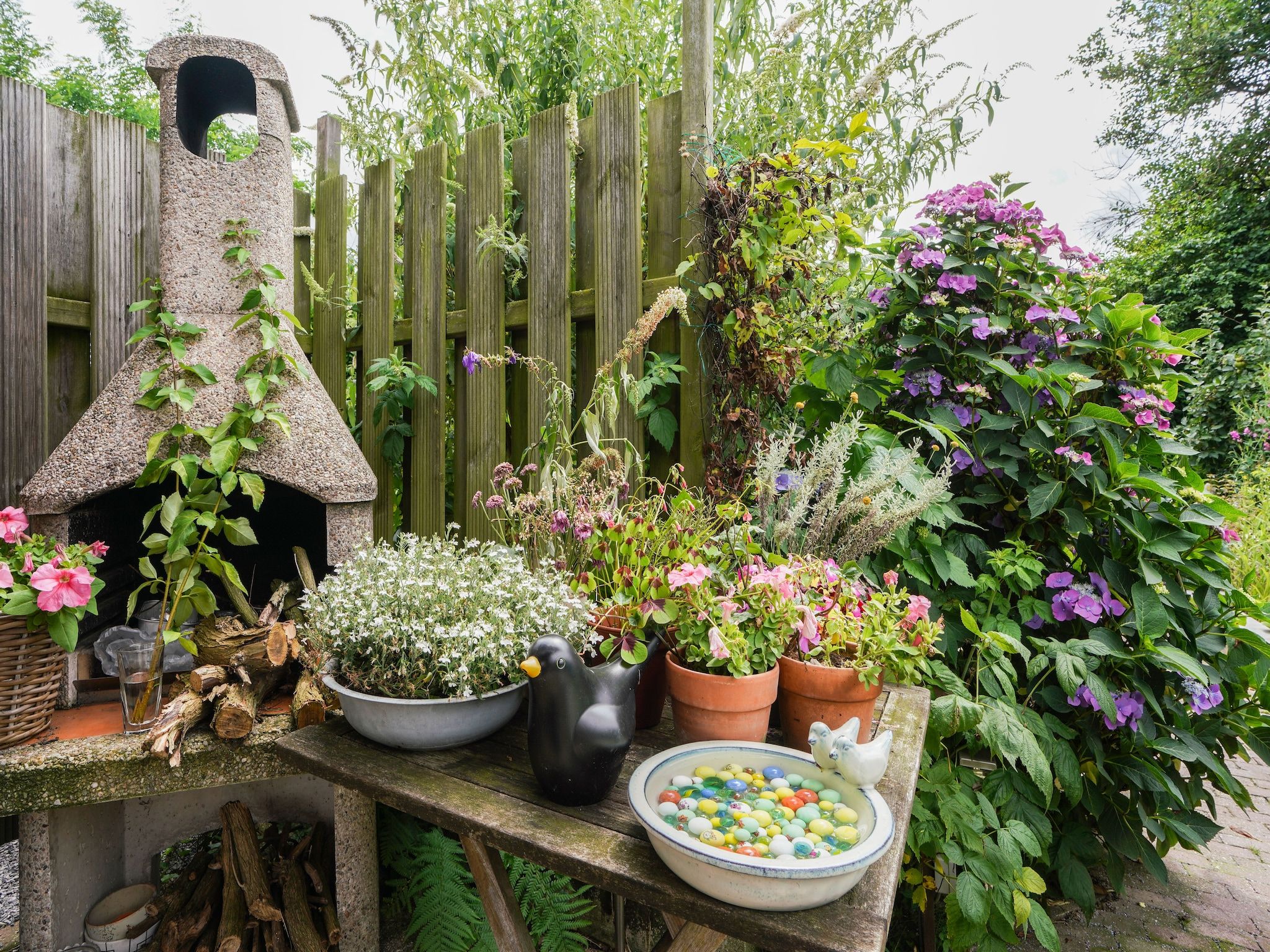 De tuin van Casa Acacia in Landgraaf
