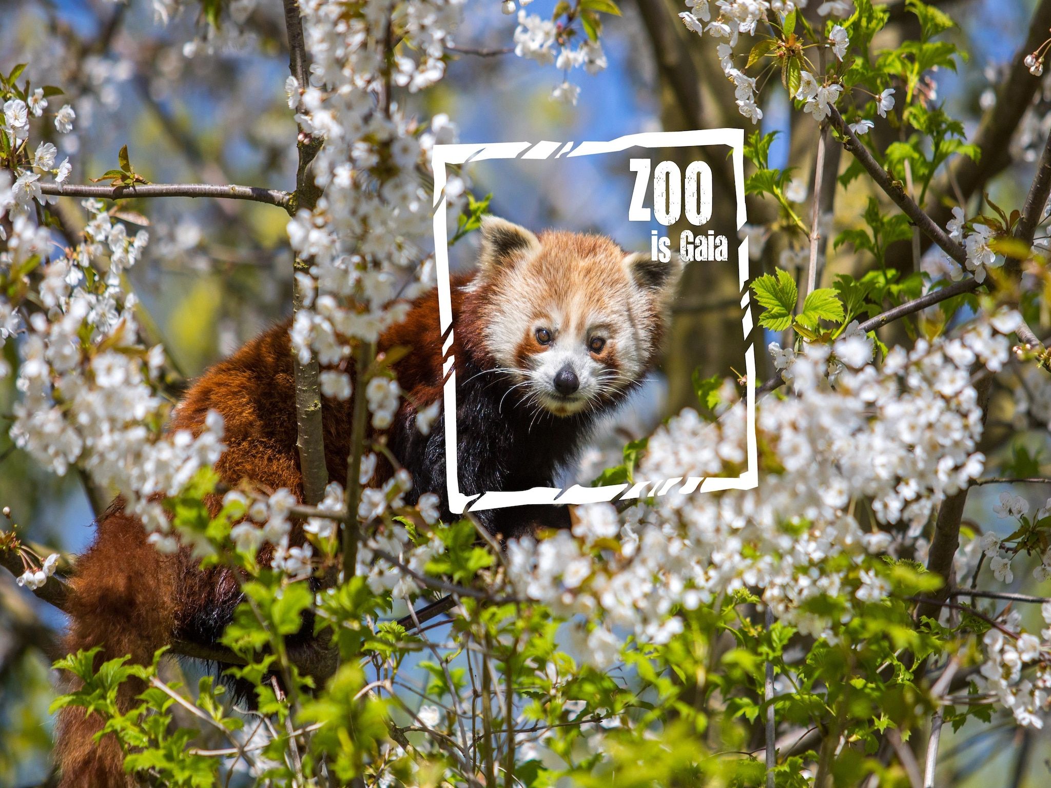 Sfeerbeeld van Casa Acacia in Landgraaf