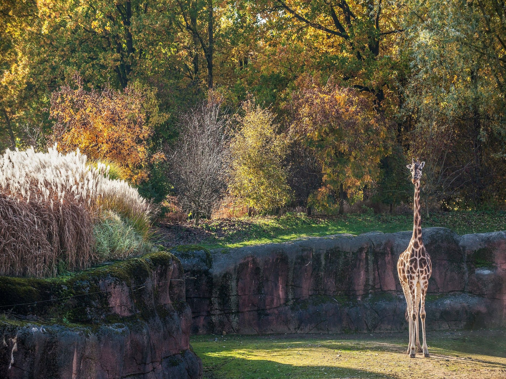 De omgeving van Casa Acacia in Landgraaf