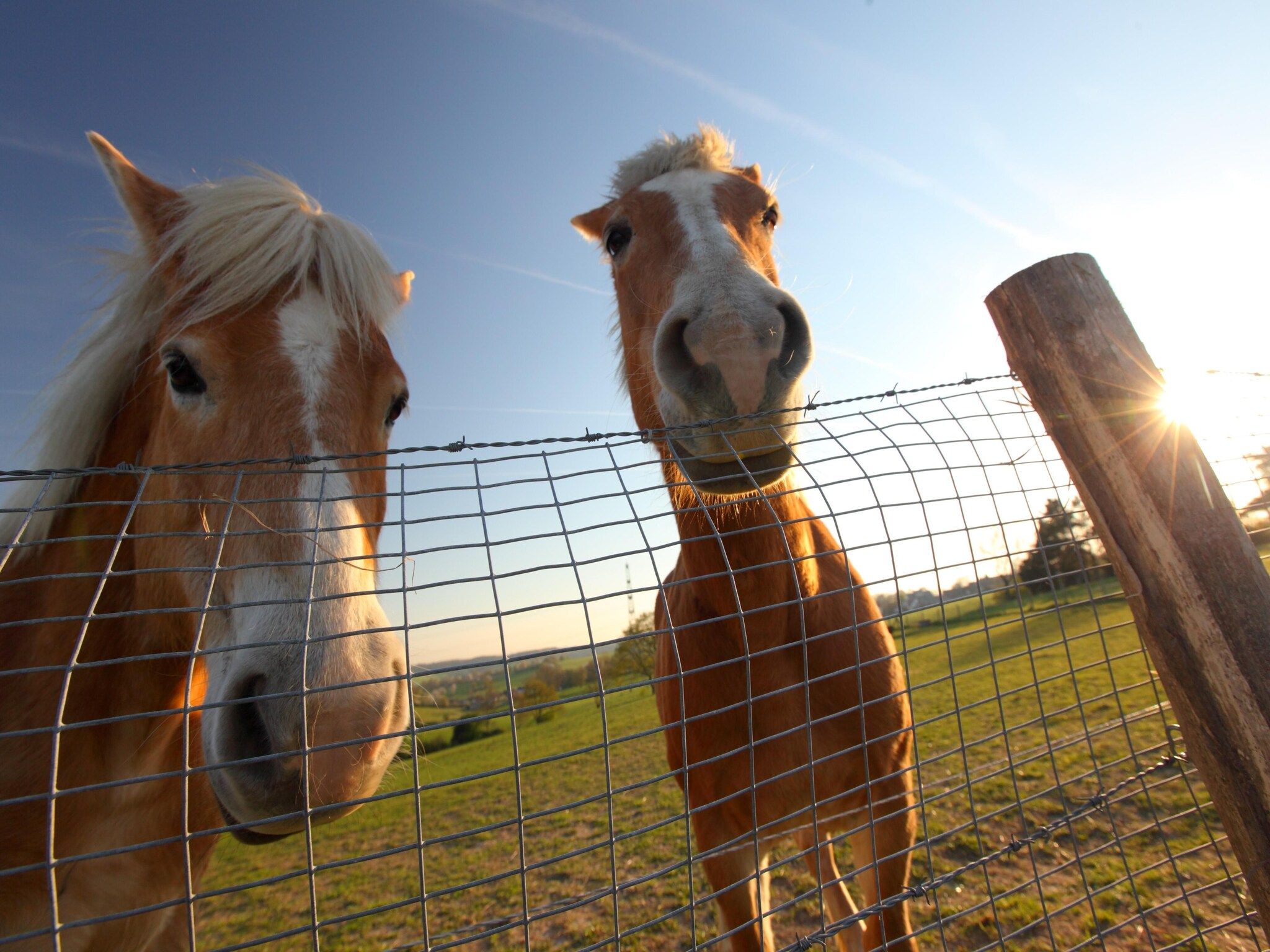 Sfeerbeeld van Bungalowpark Schin op Geul 15 in Walem