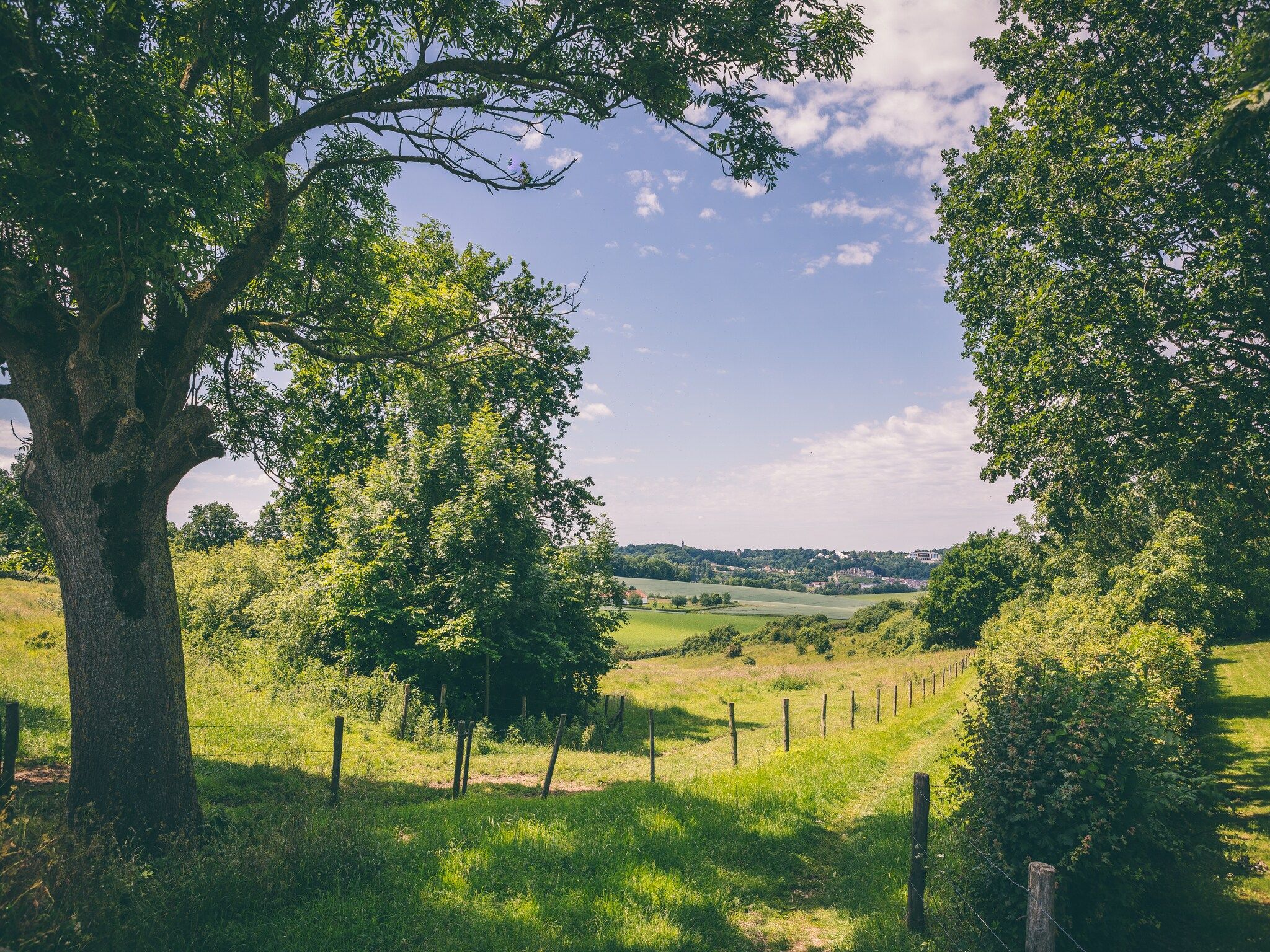 De omgeving van Bungalowpark Schin op Geul 15 in Walem