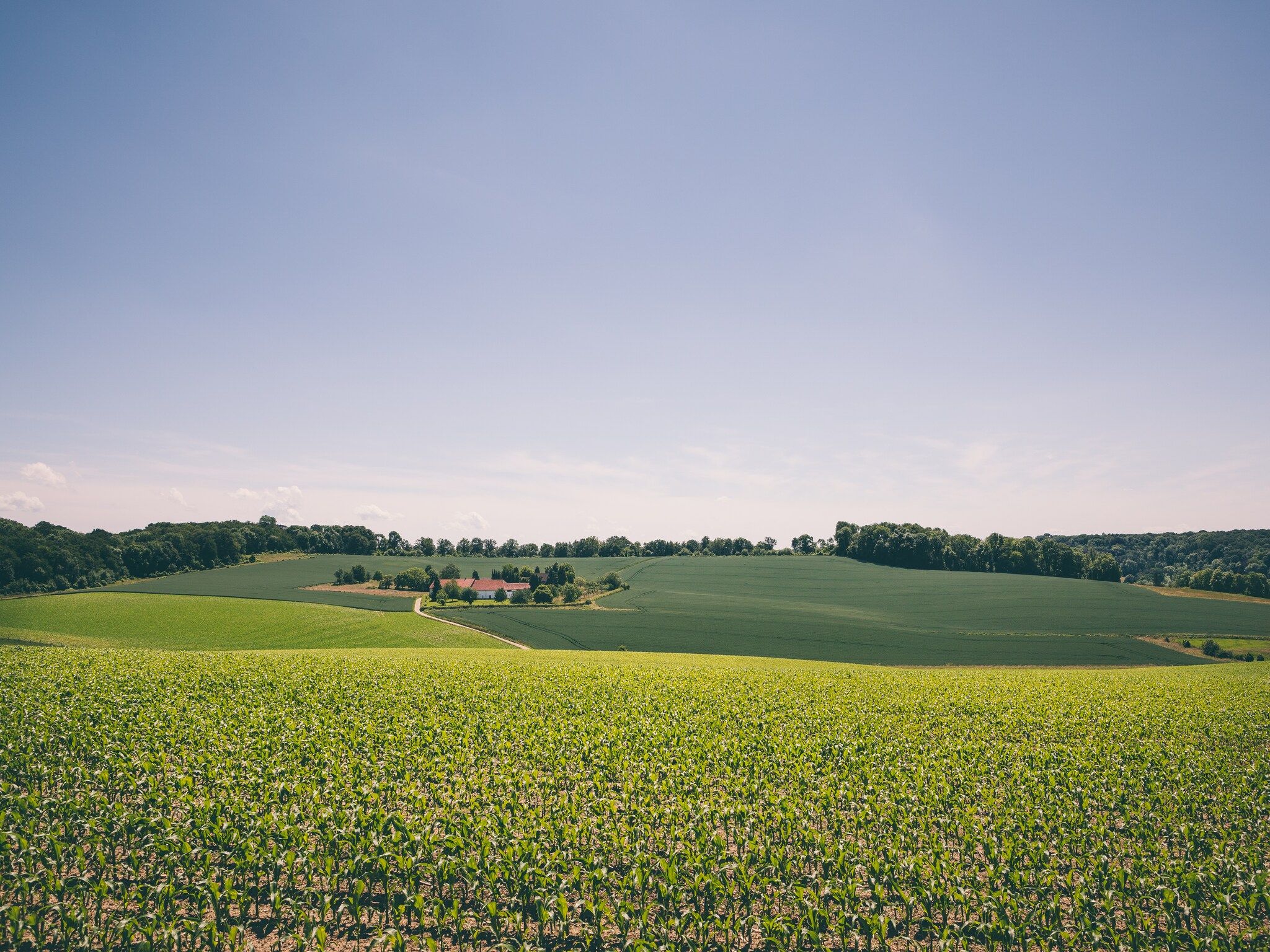 Bungalowpark Schin op Geul 15 in Walem - Foto 17 van 20