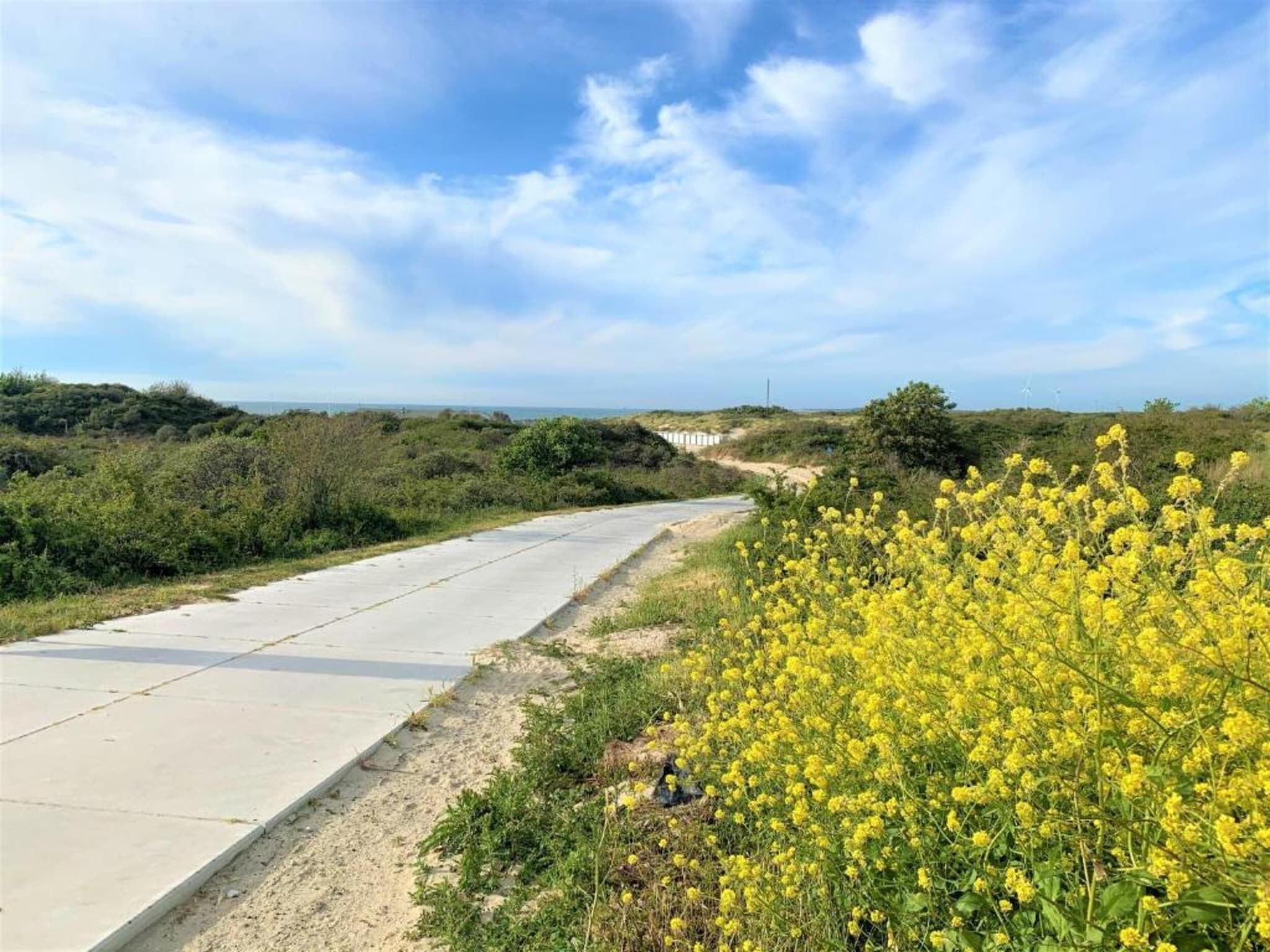 Noordzee Résidence De Banjaard 19 in Kamperland - Foto 34 van 40