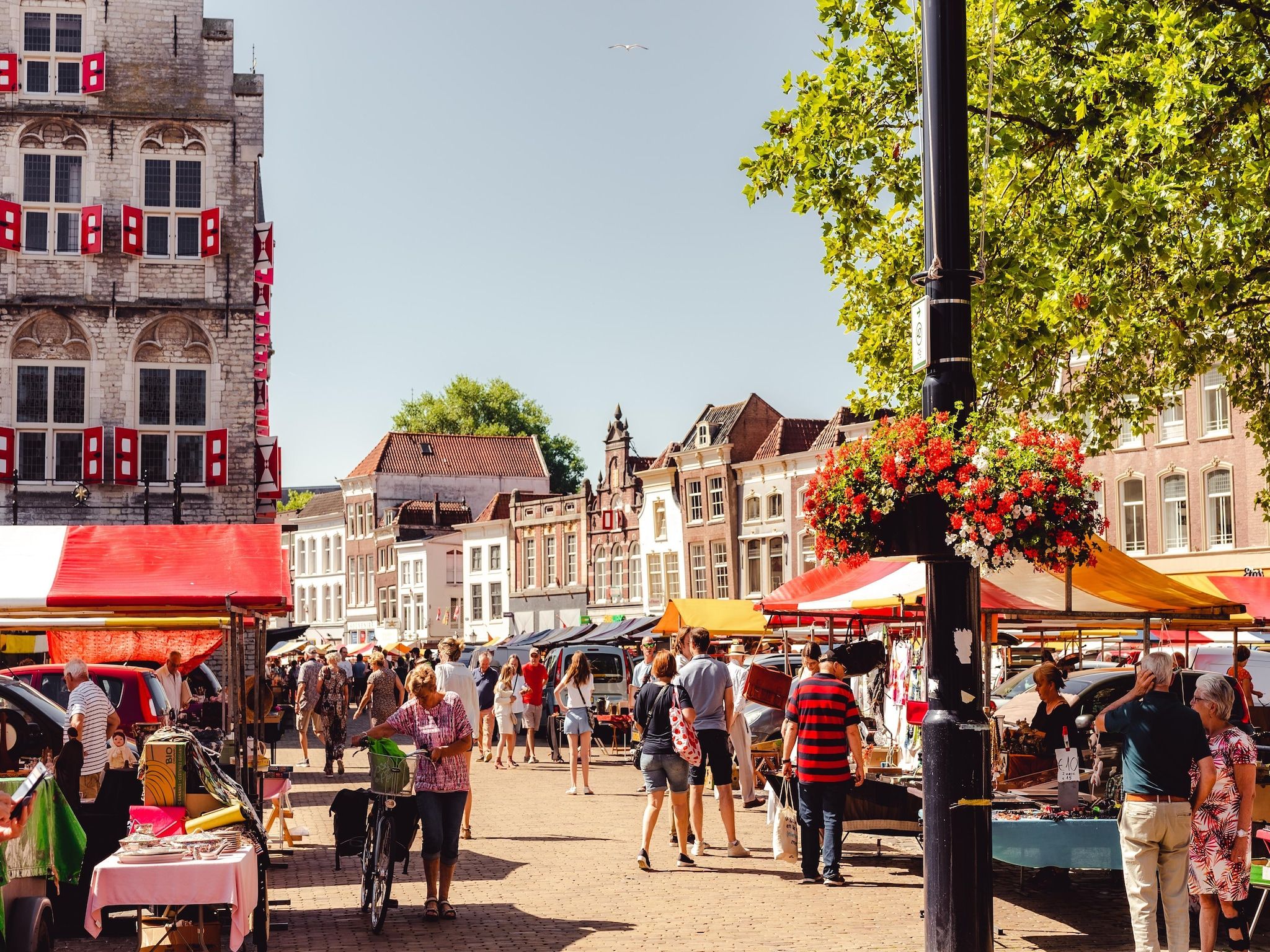 Cape Helius 21 in Hellevoetsluis - Foto 16 van 40