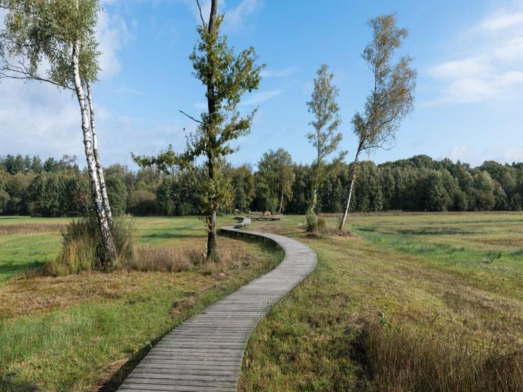 Bospark de Schaapskooi 9 in Wissel/Epe - Foto 35 van 39