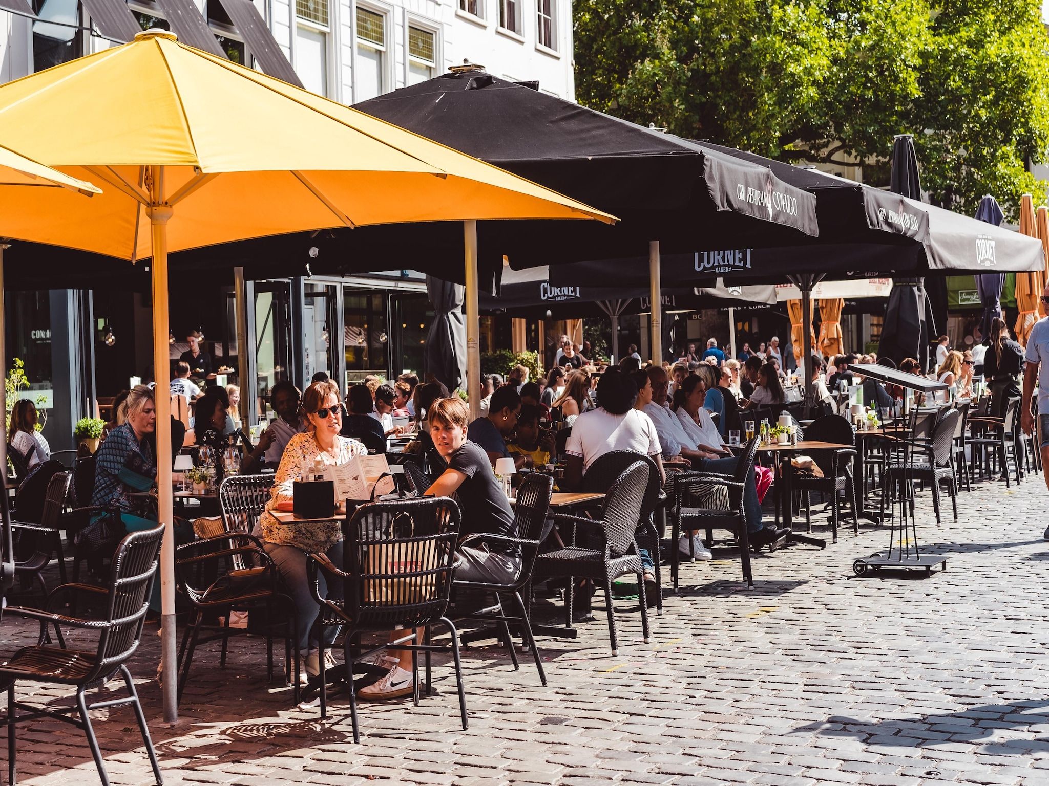 De omgeving van Vakantiepark De Heihorsten 2 in Someren