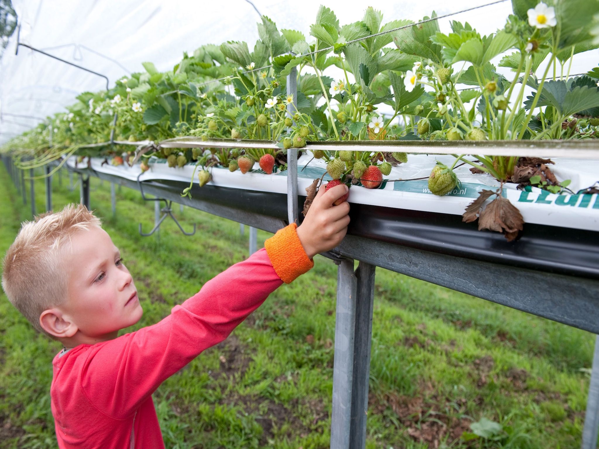 Park De Peel 1 in Vlierden - Foto 20 van 31