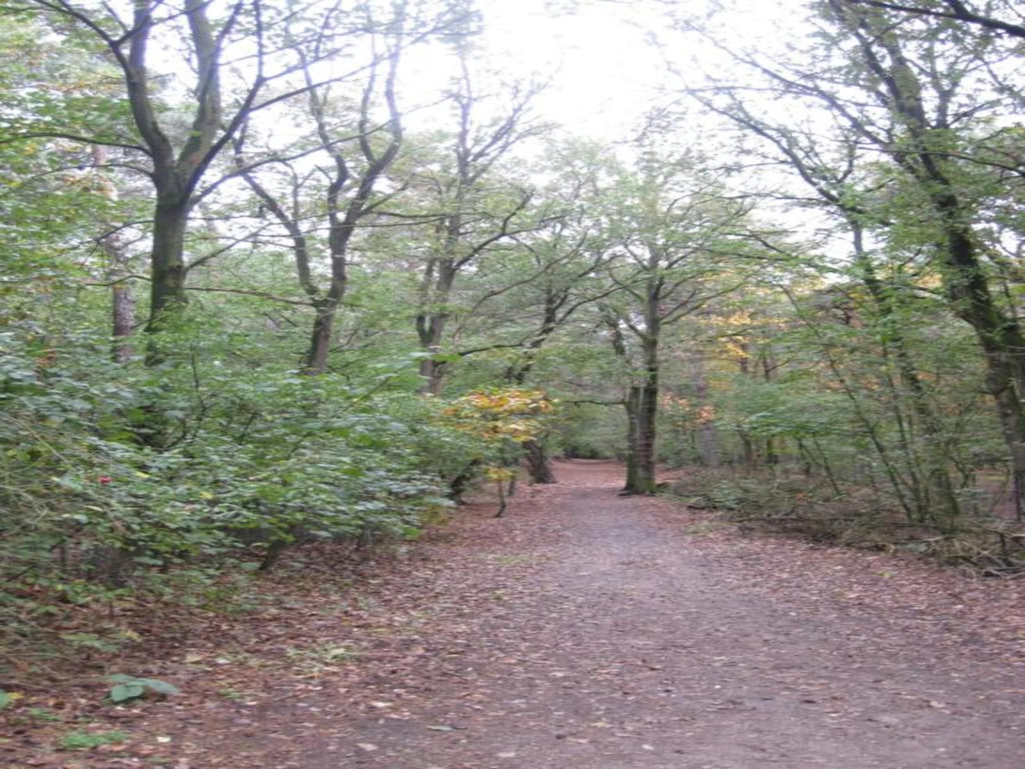 Park De Peel 2 in Vlierden - Foto 24 van 32