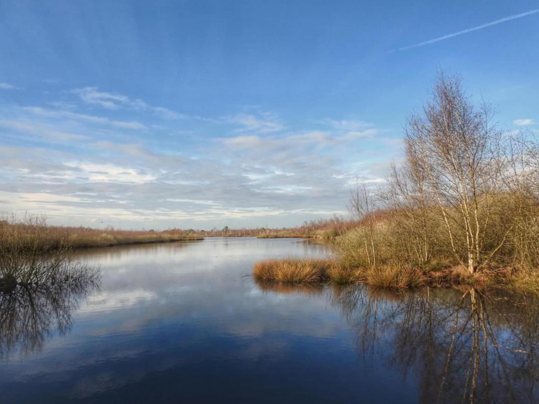 Park De Peel 4 in Vlierden - Foto 24 van 30