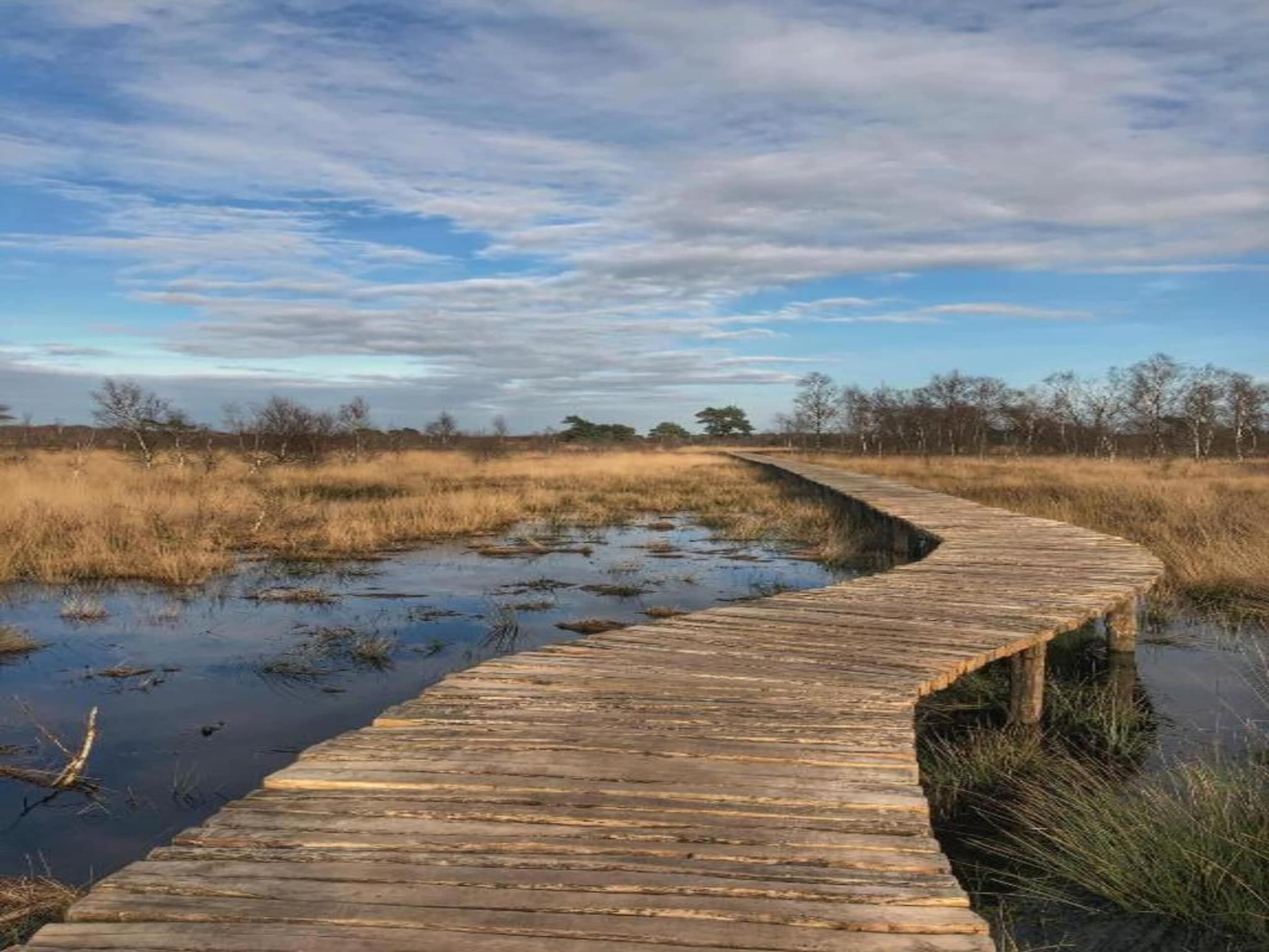 Park De Peel 4 in Vlierden - Foto 23 van 30