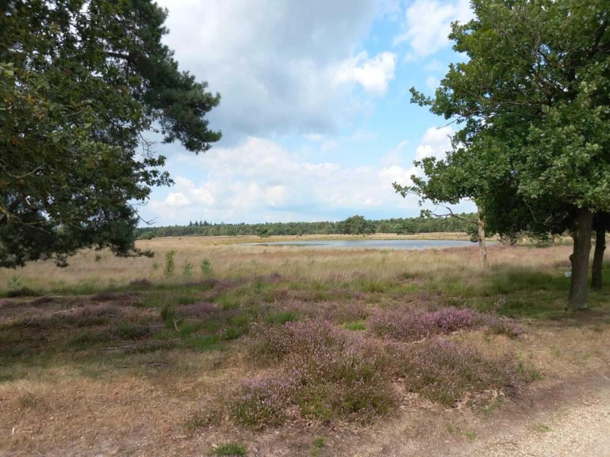 Park De Peel 4 in Vlierden - Foto 25 van 30