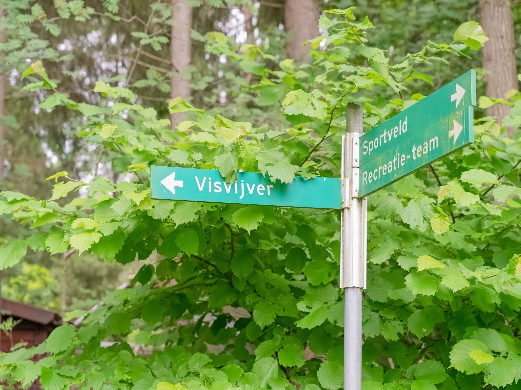 Sfeerbeeld van Chalet in Vledder in Vledder