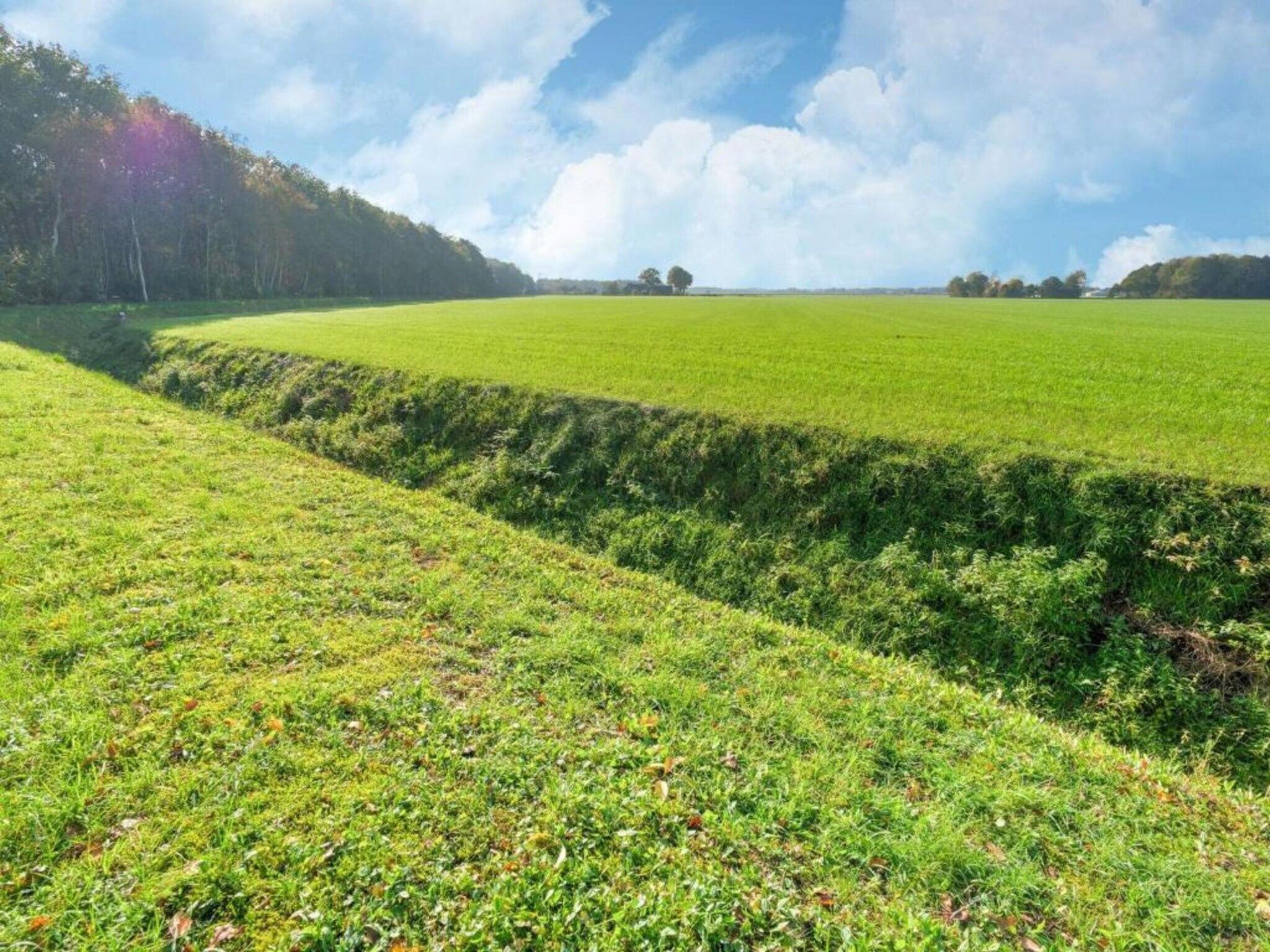 Chalet in Vledder in Vledder - Foto 36 van 40