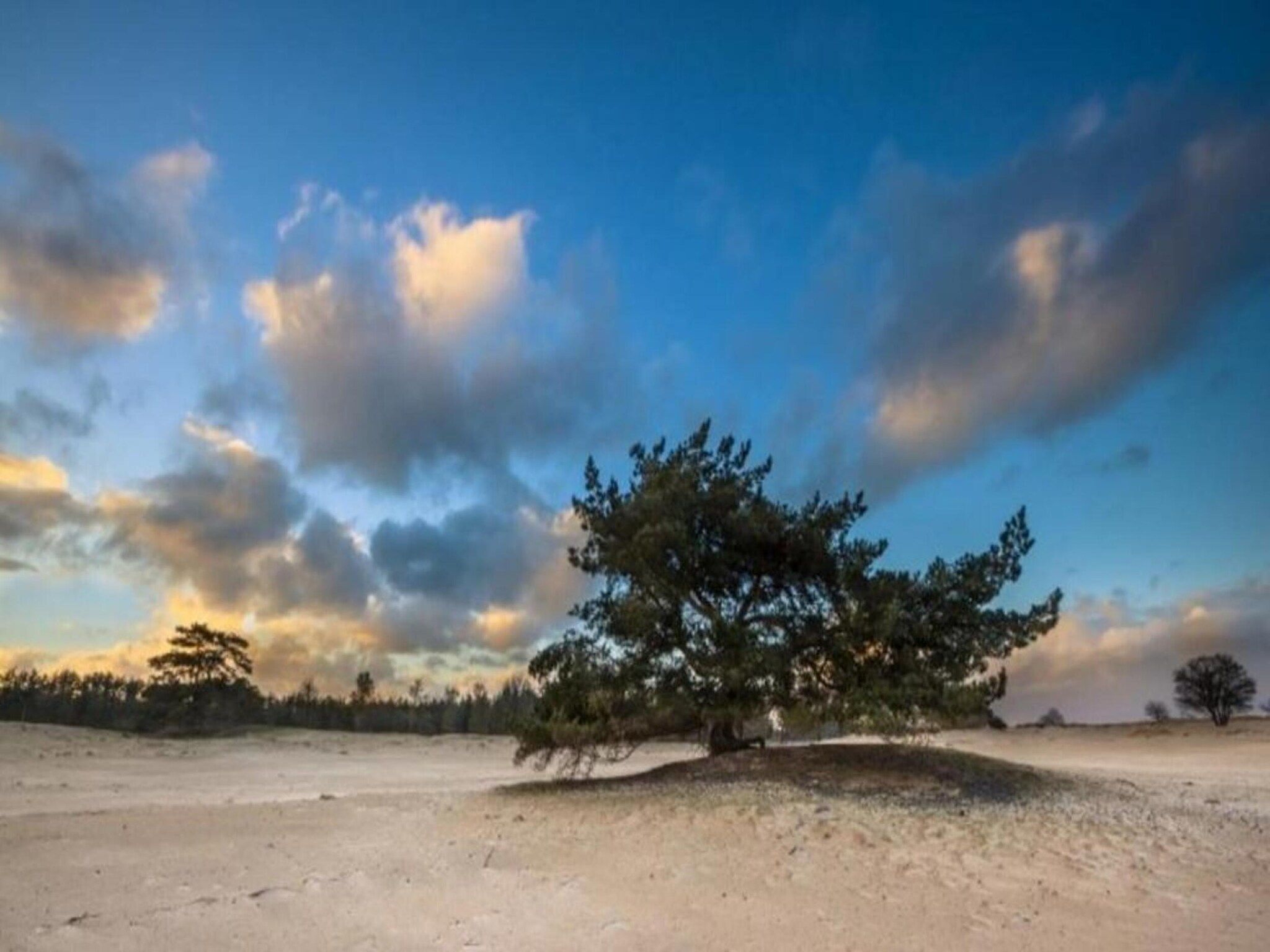 Chalet in Vledder in Vledder - Foto 35 van 40