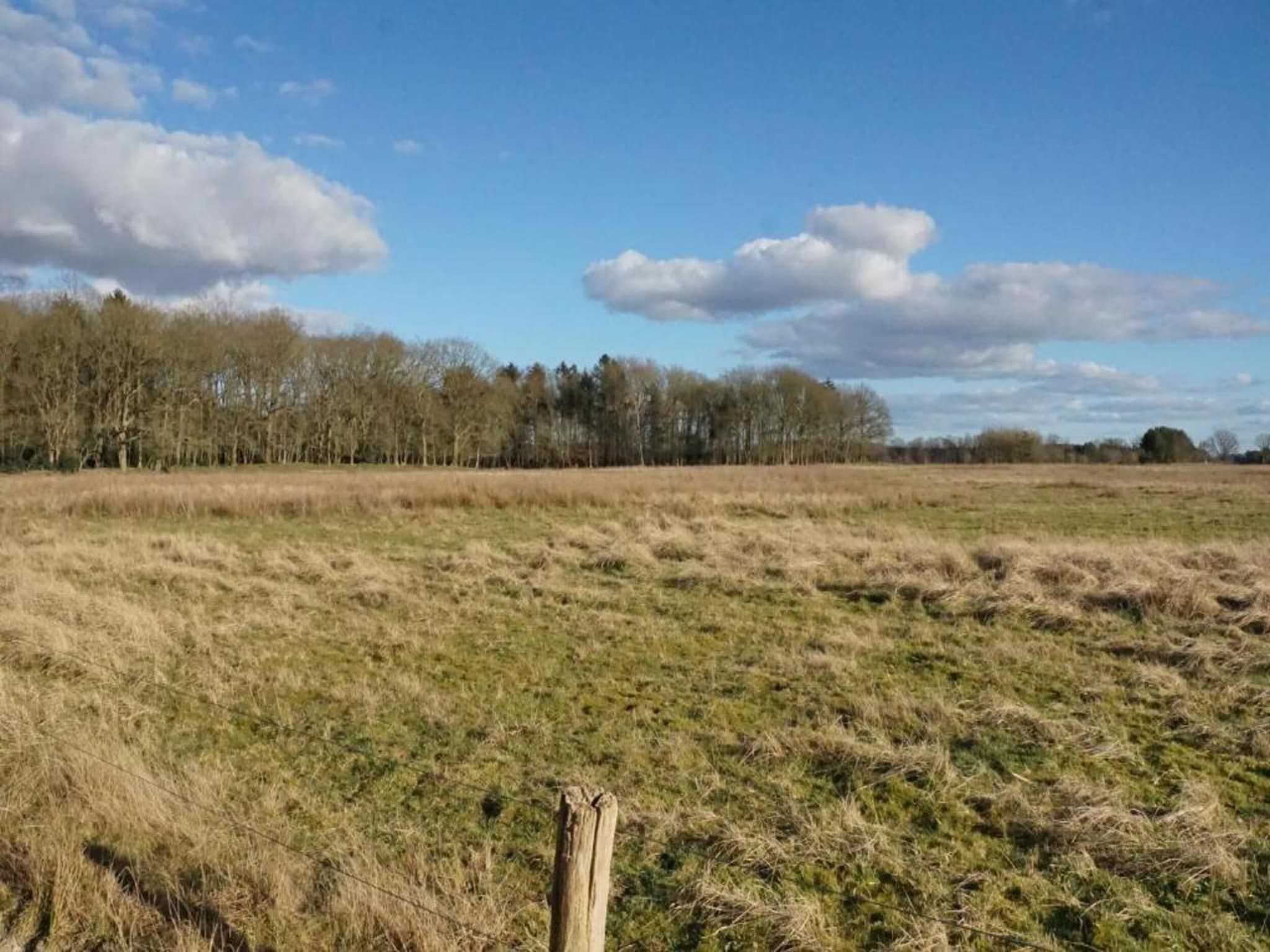 Chalet in Vledder in Vledder - Foto 37 van 40