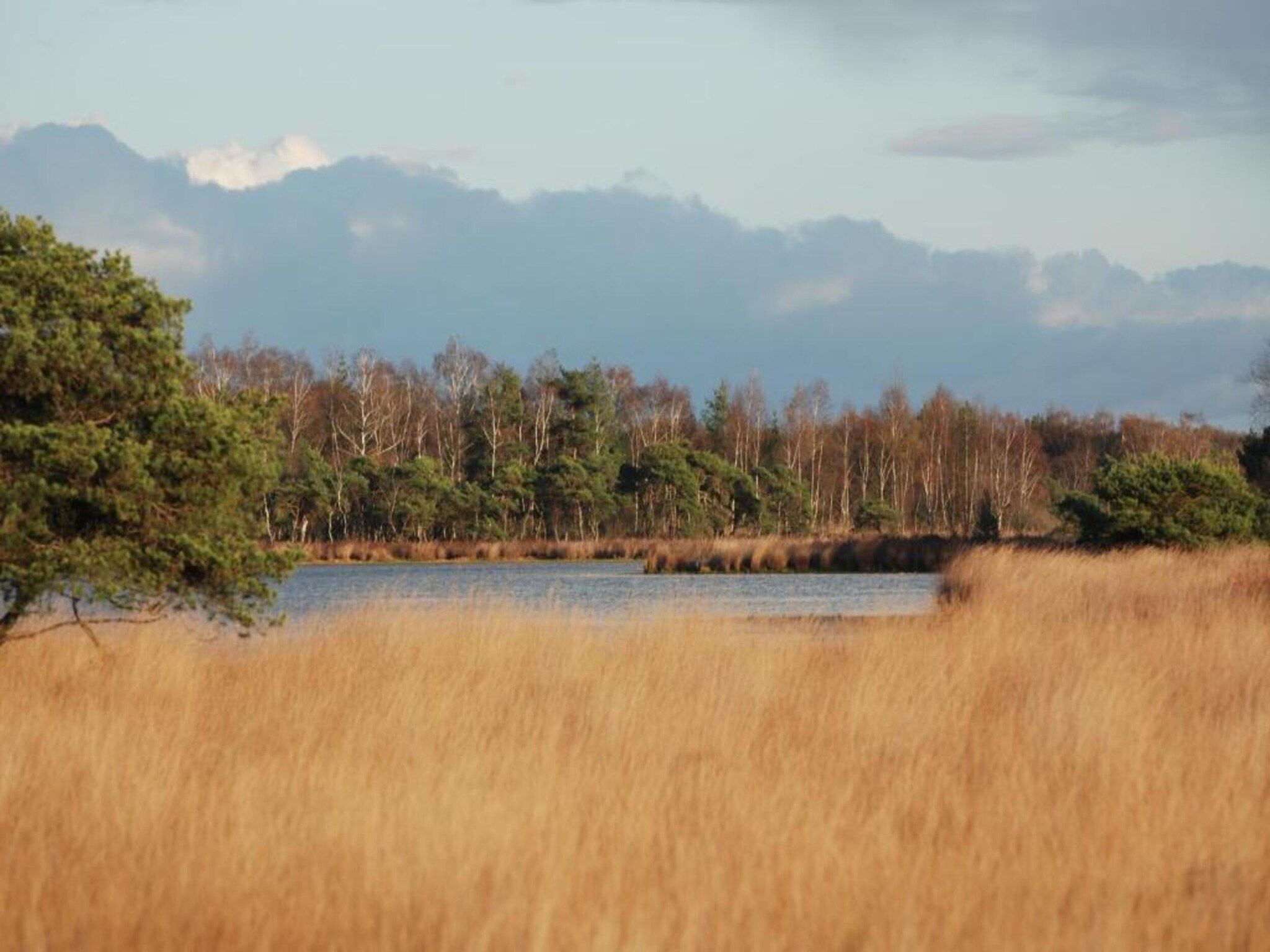 Vakantiepark Latour 2 in Oirschot - Foto 37 van 40