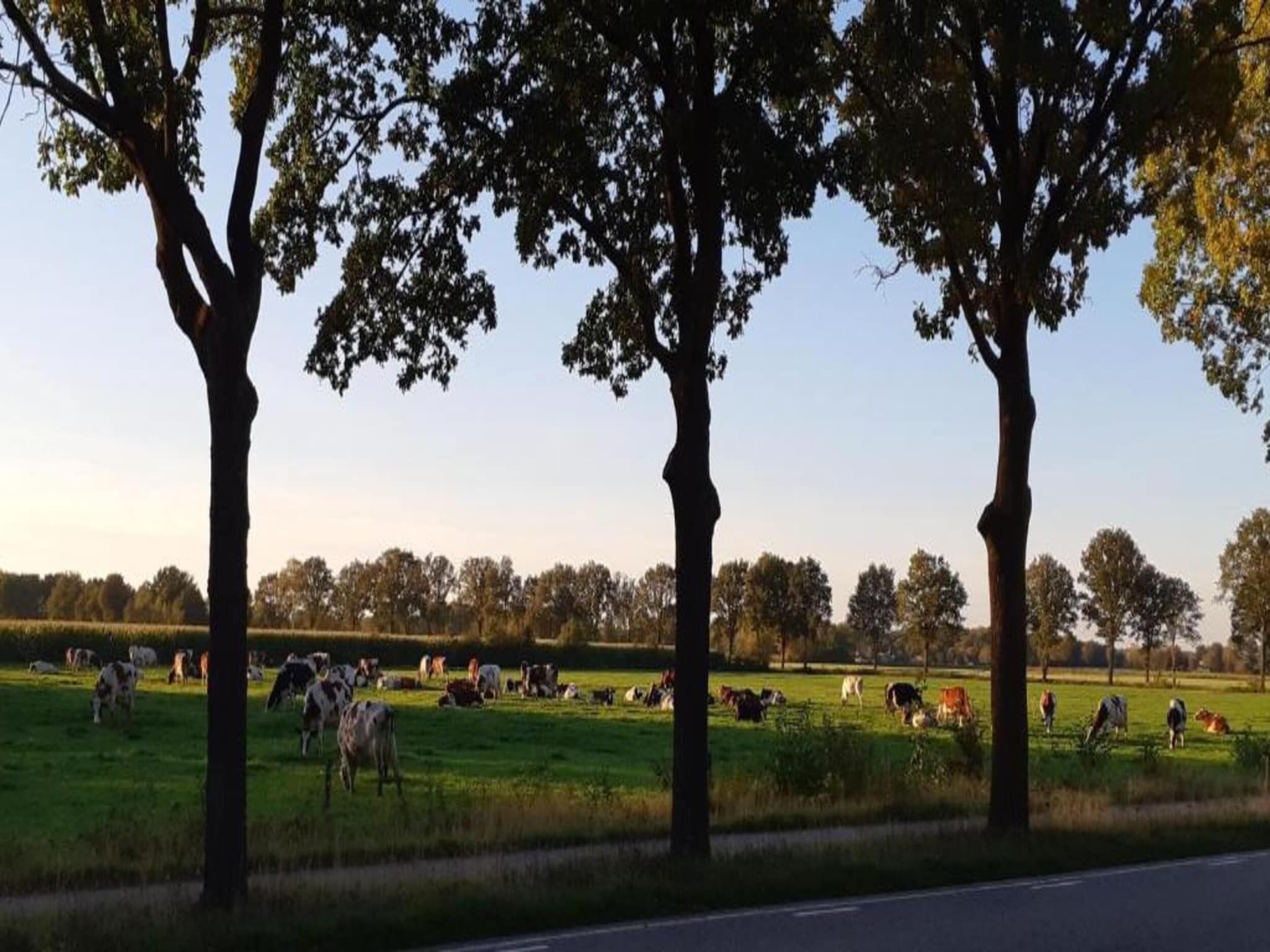 Vakantiepark Latour 2 in Oirschot - Foto 34 van 40