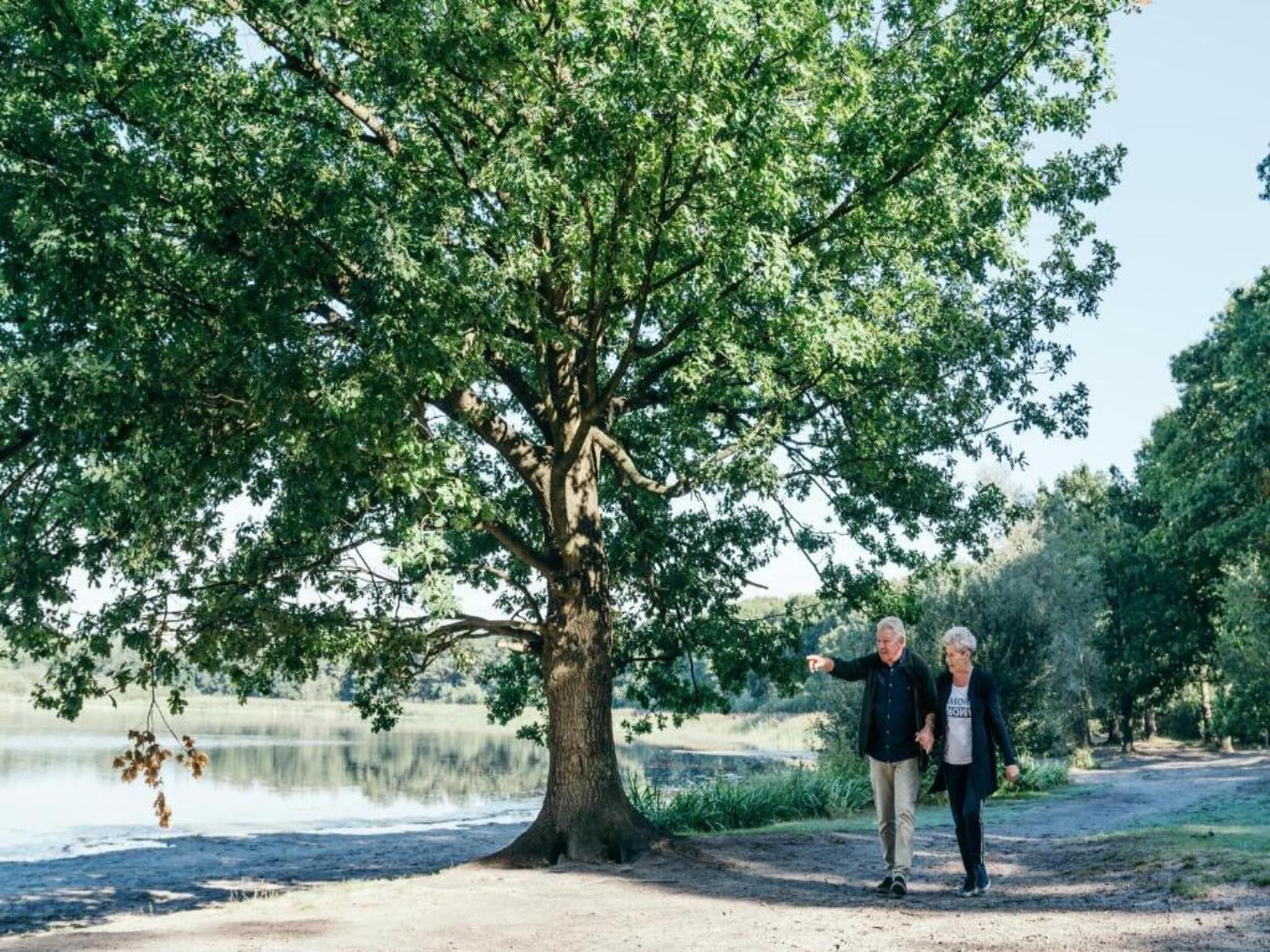 Vakantiepark Latour 2 in Oirschot - Foto 38 van 40