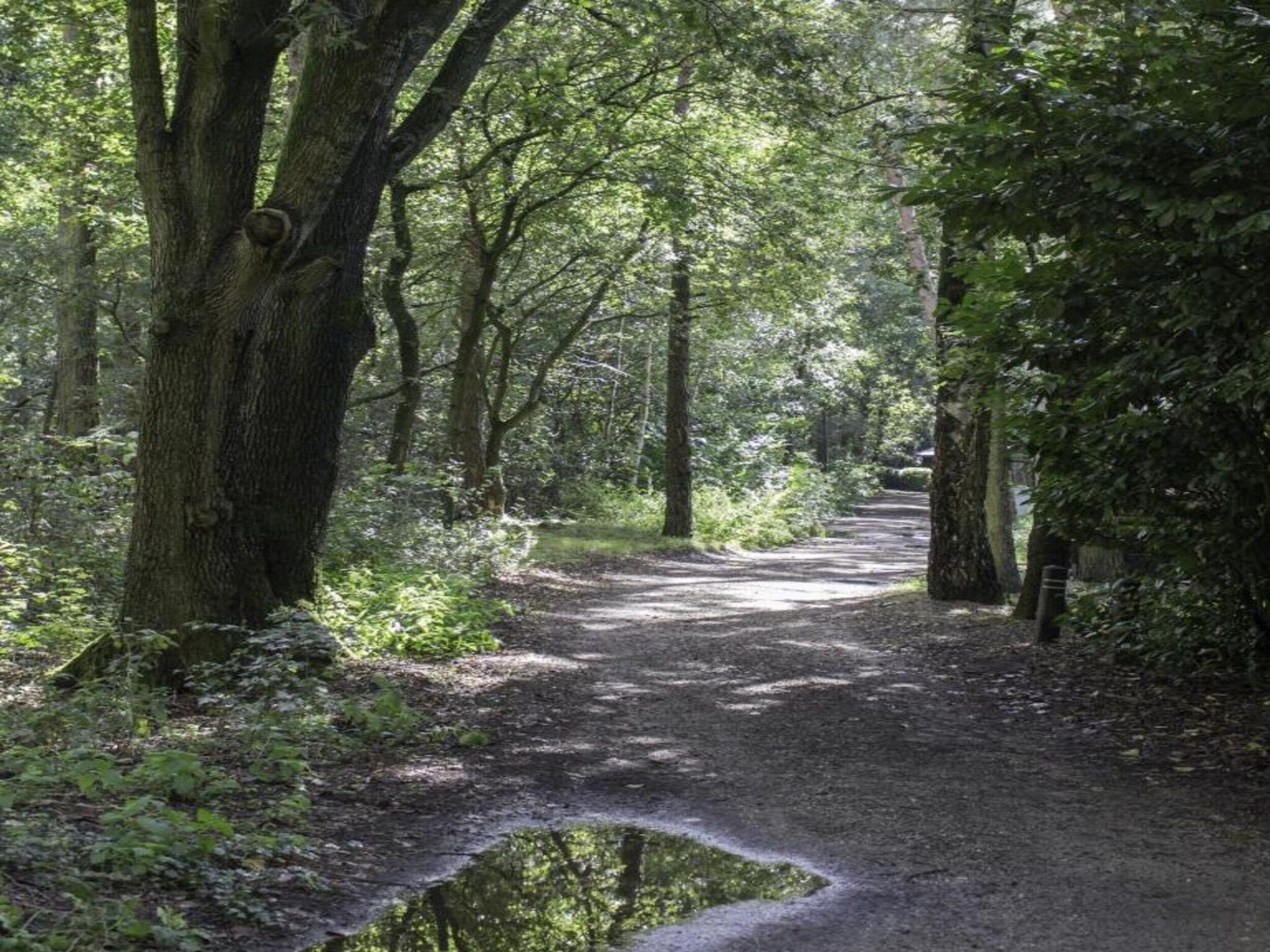 Vakantiepark Latour 2 in Oirschot - Foto 30 van 40