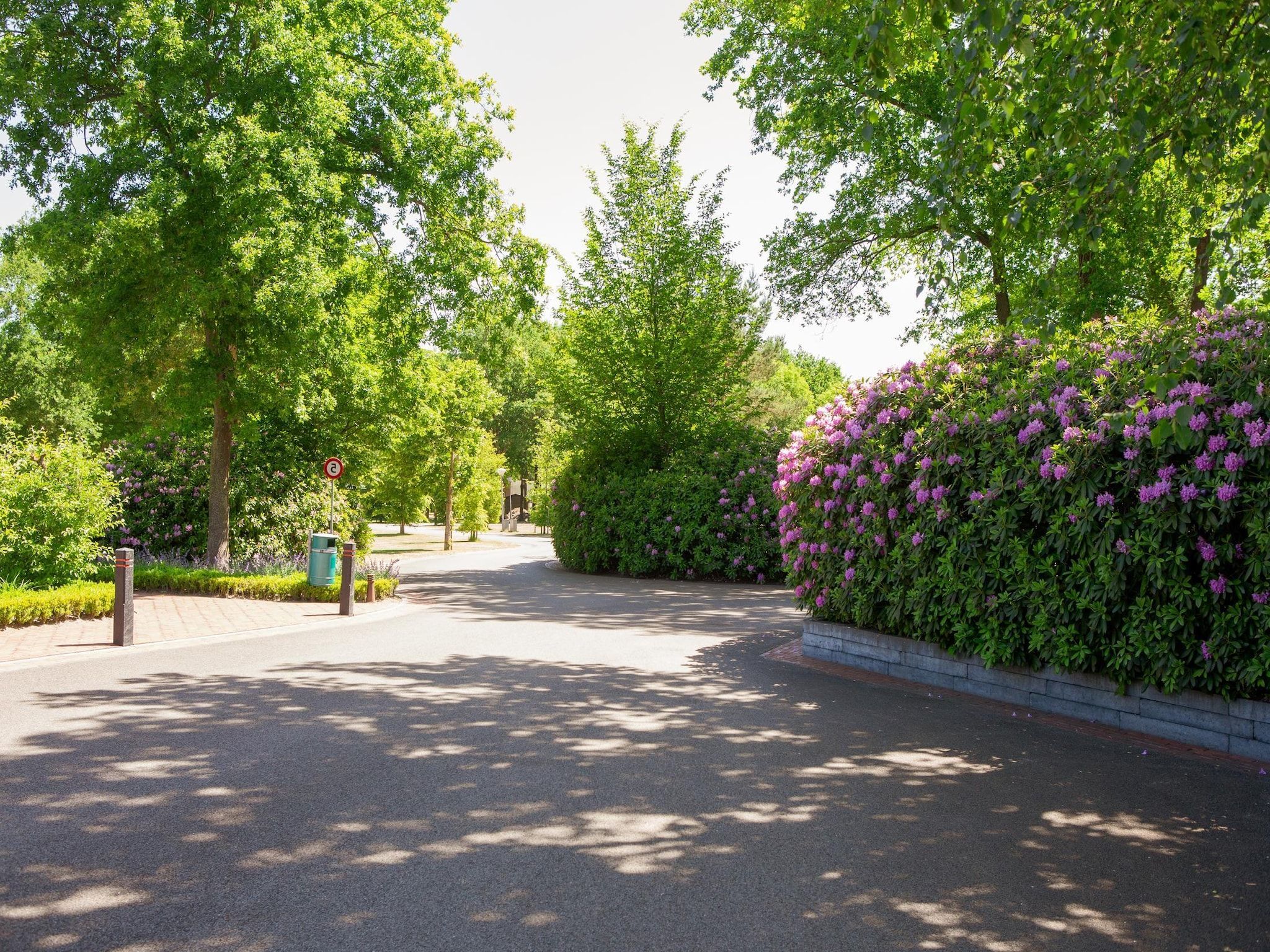 De tuin van Vakantiepark Latour 3 in Oirschot