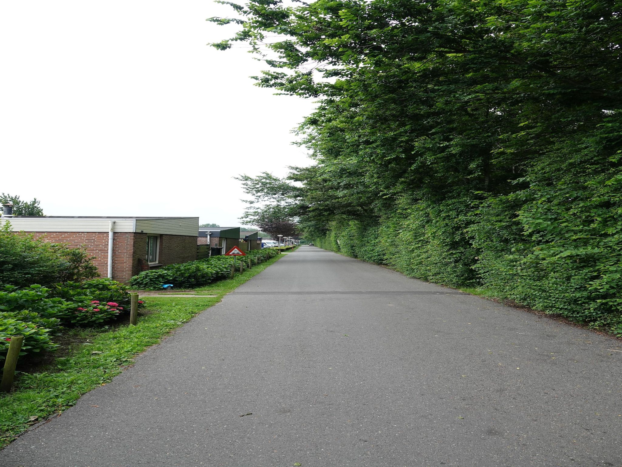 Relaxing Summer in Noordwijkerhout - Foto 30 van 40