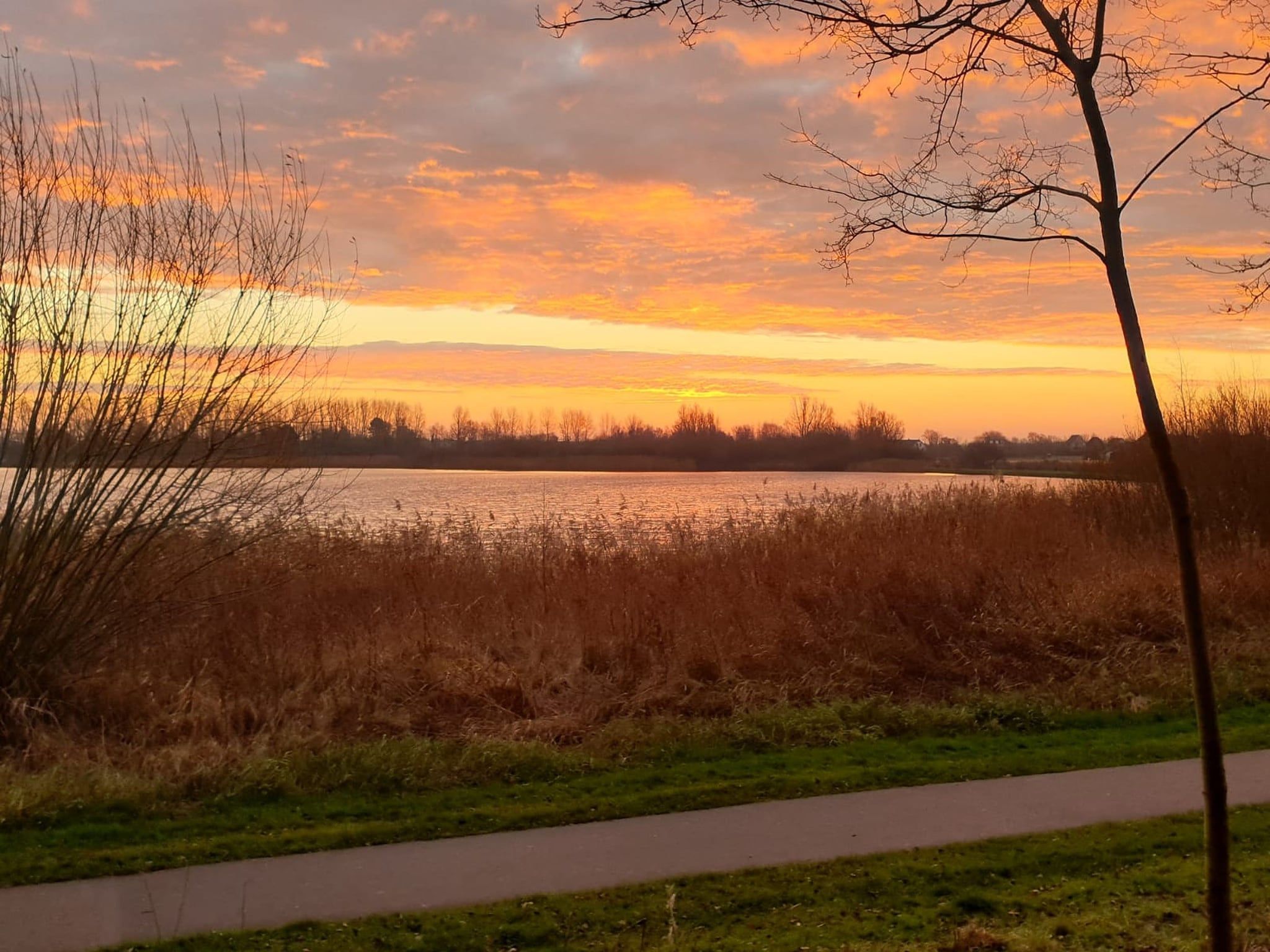 Relaxing Summer in Noordwijkerhout - Foto 31 van 40